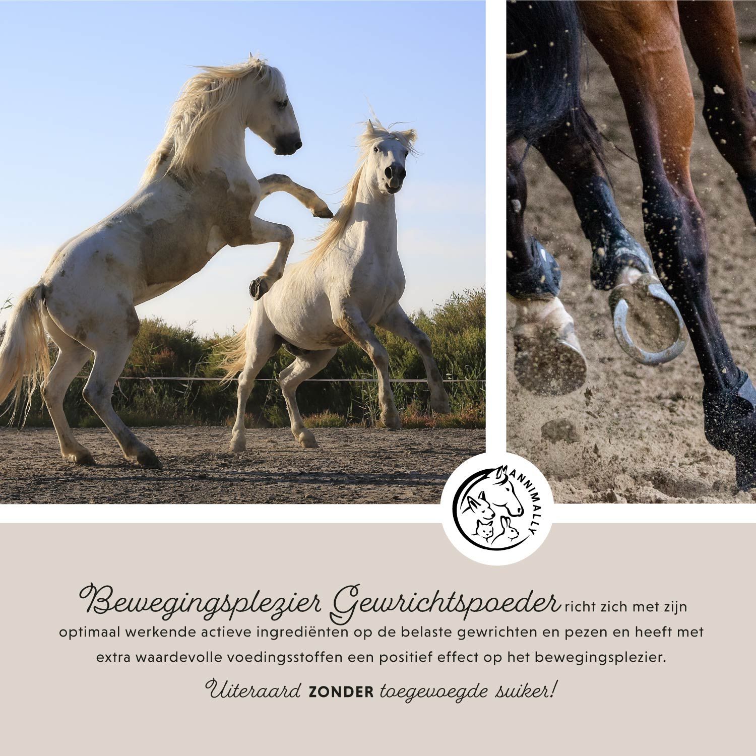 Twee witte paarden springen. Tekst: Bewegingsplezier Gewrichtenpoeder. Logo: Annimally. Tekst: Zonder toegevoegde suiker!