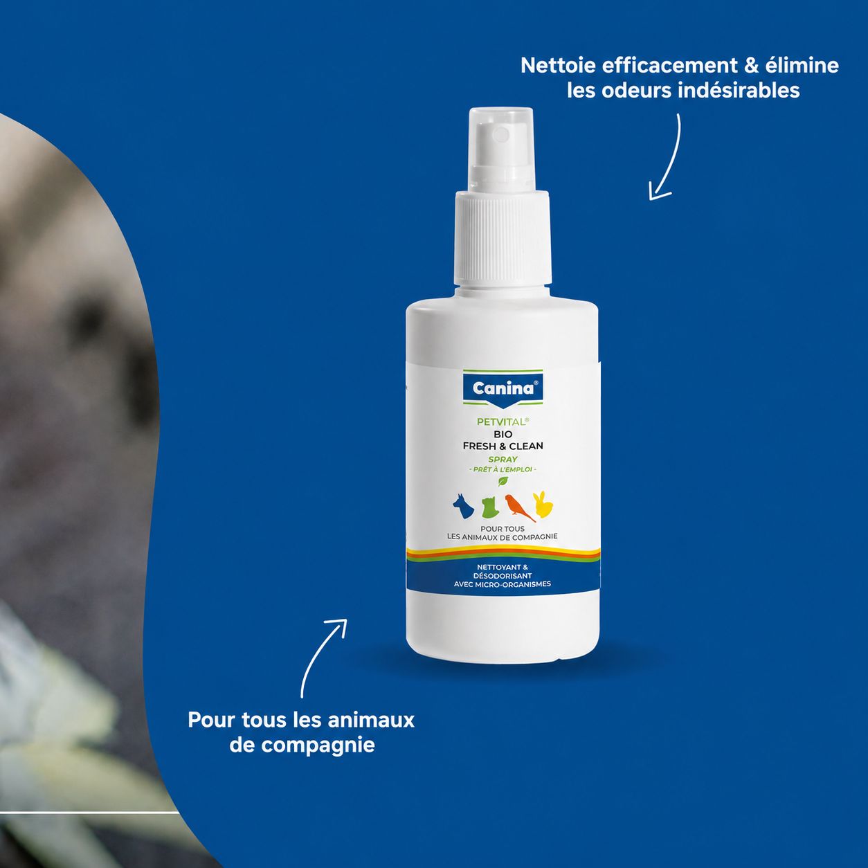 Bouteille de spray Canina PETVITAL Bio-Fresh & Clean, avec étiquette et accents verts.