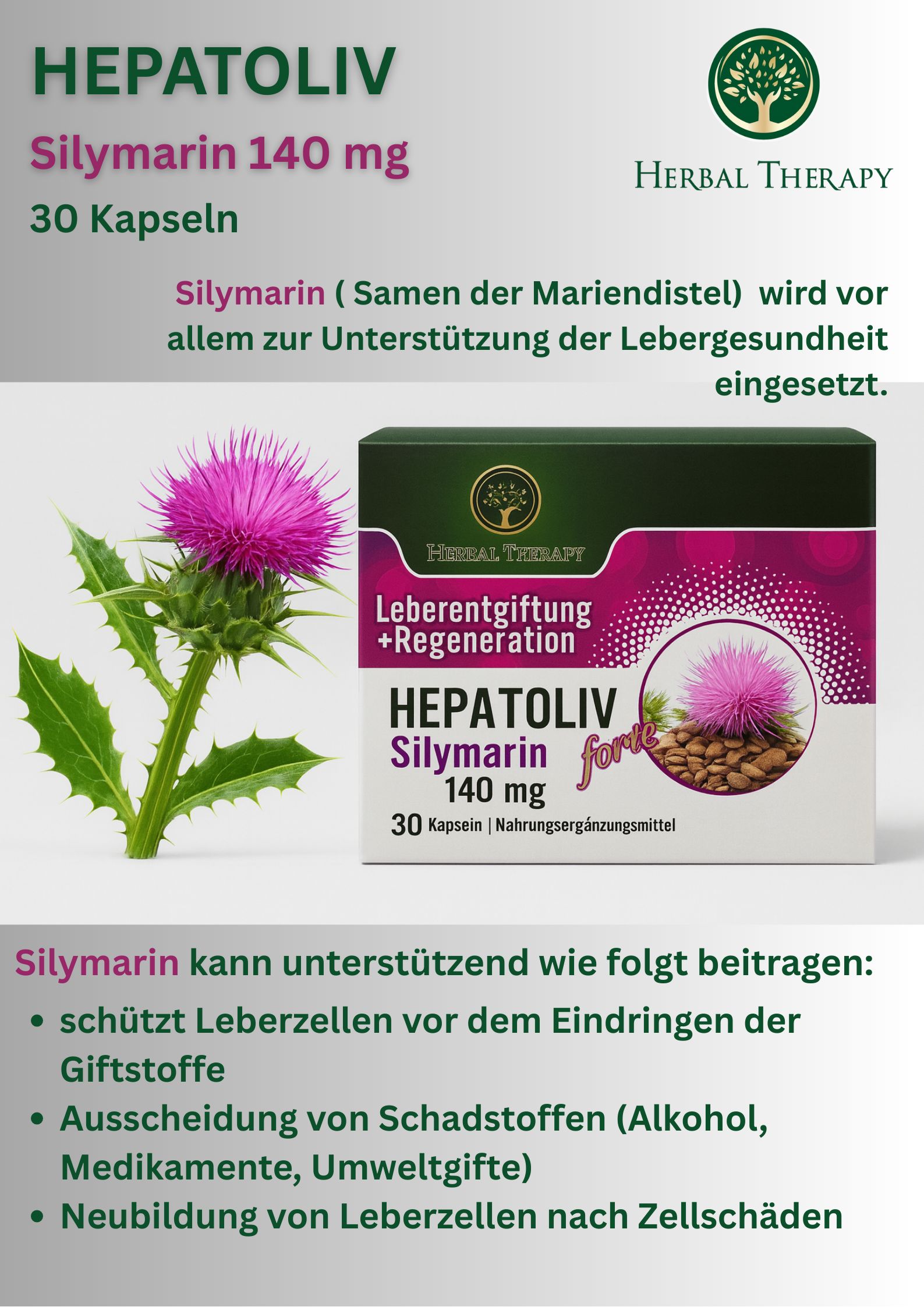 Boîte HEPATOLIV Silymarin 140 mg avec texte et illustration. Nom du produit, 30 gélules. Fond avec plante.
