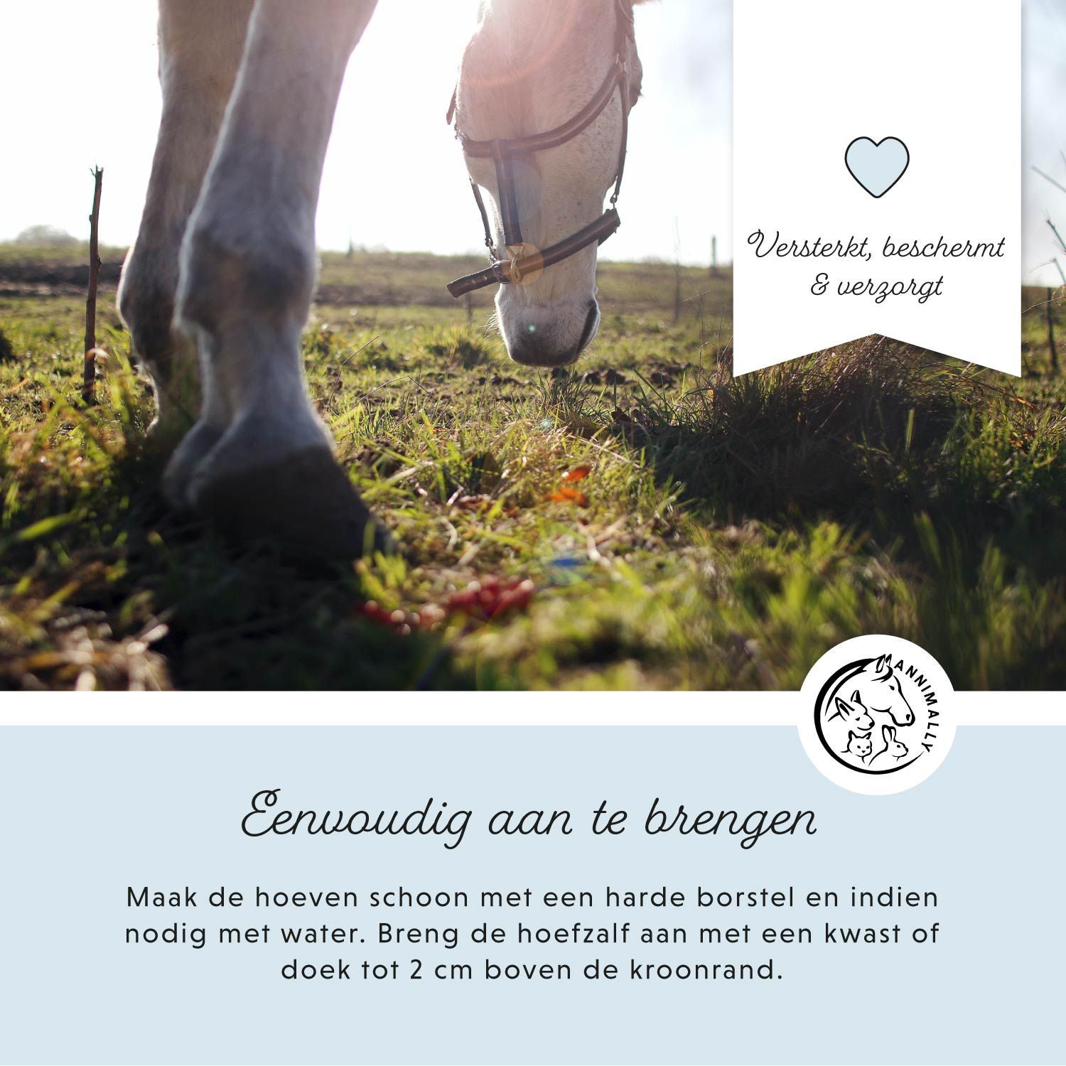 Paard in een veld. Tekst: Eenvoudig aan te brengen. Logo. Tekst: Reinigen, aanbrengen.