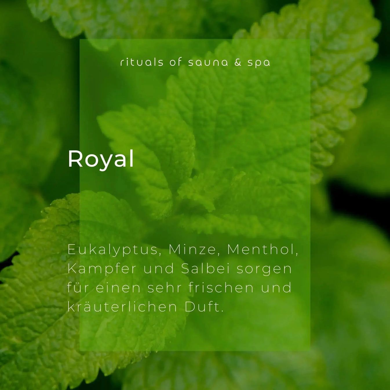 Groen blad met tekst: Royal, Eucalyptus, Munt, Menthol, Kamfer en Salie. Rituals of sauna & spa.
