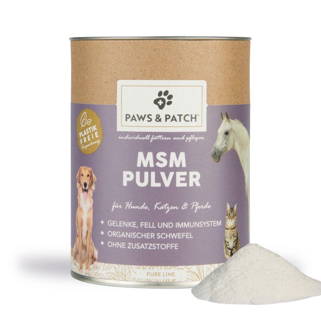 PAWS&PATCH POUDRE DE MSM POUR CHIENS, CHATS ET CHEVAUX