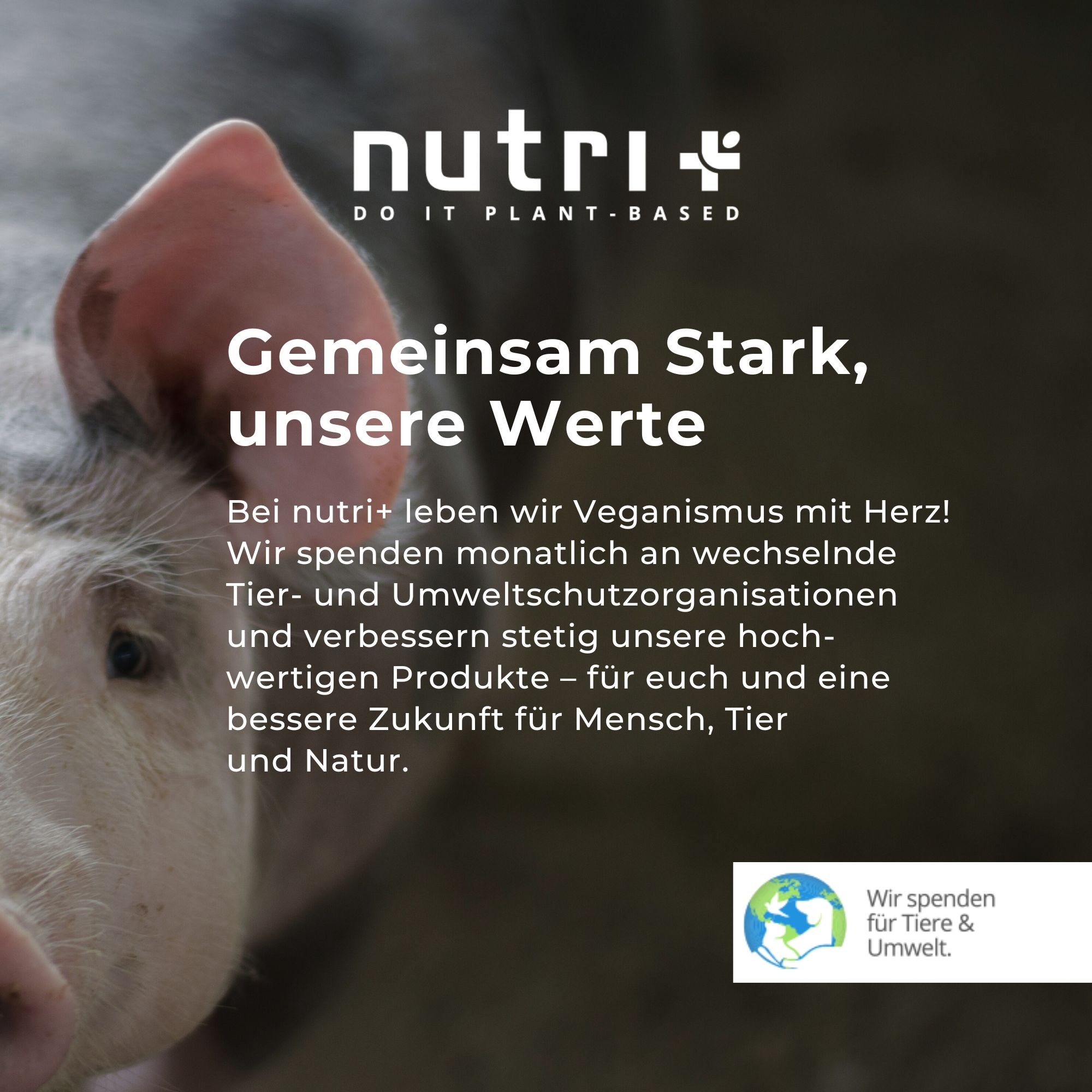 nutri+ Monsterbox Veganistisch 3K Eiwit II