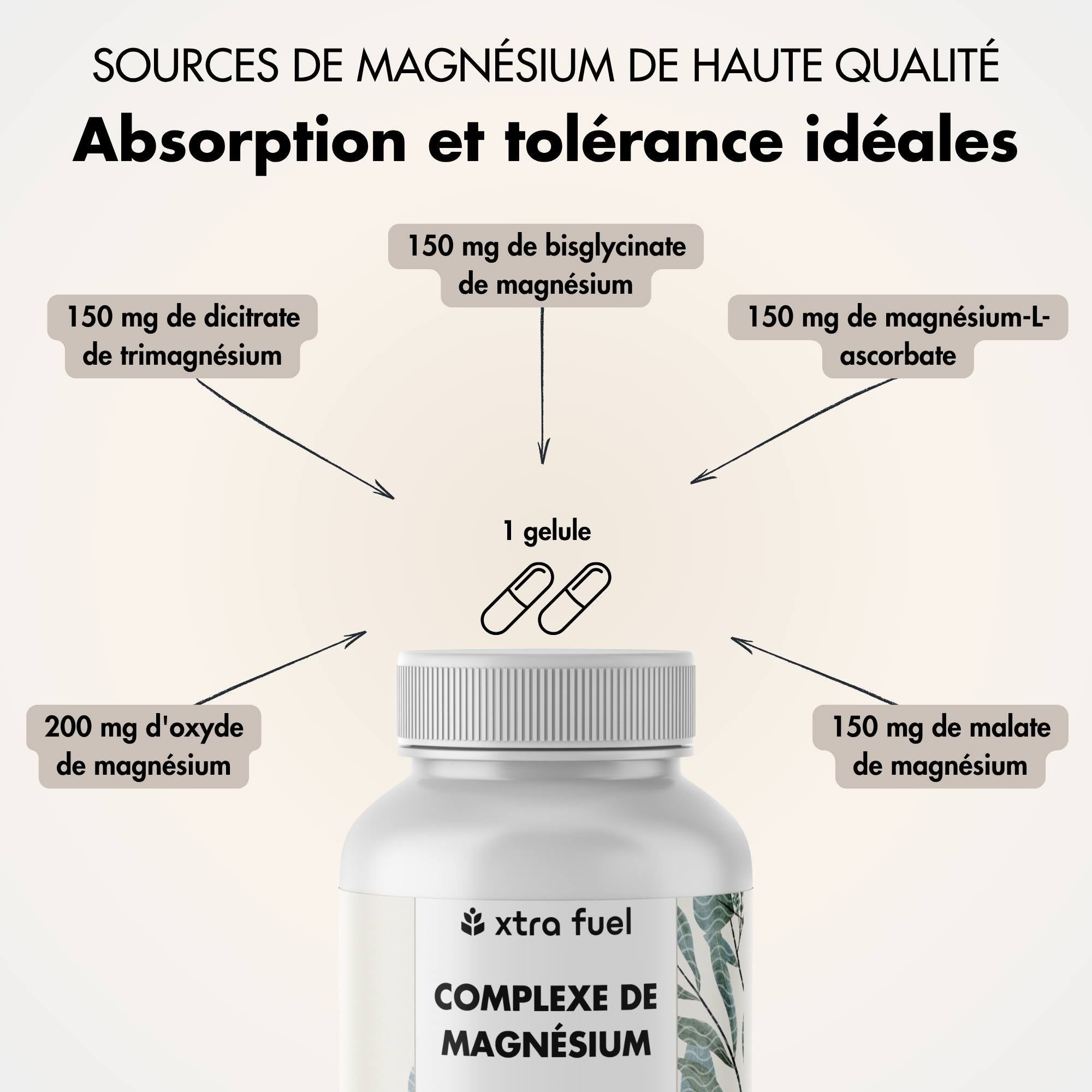 Schéma montrant les sources de magnésium: Bisglycinate, L-Ascorbate, Trimagnésiumdicitrate, Malate, Oxyde.
