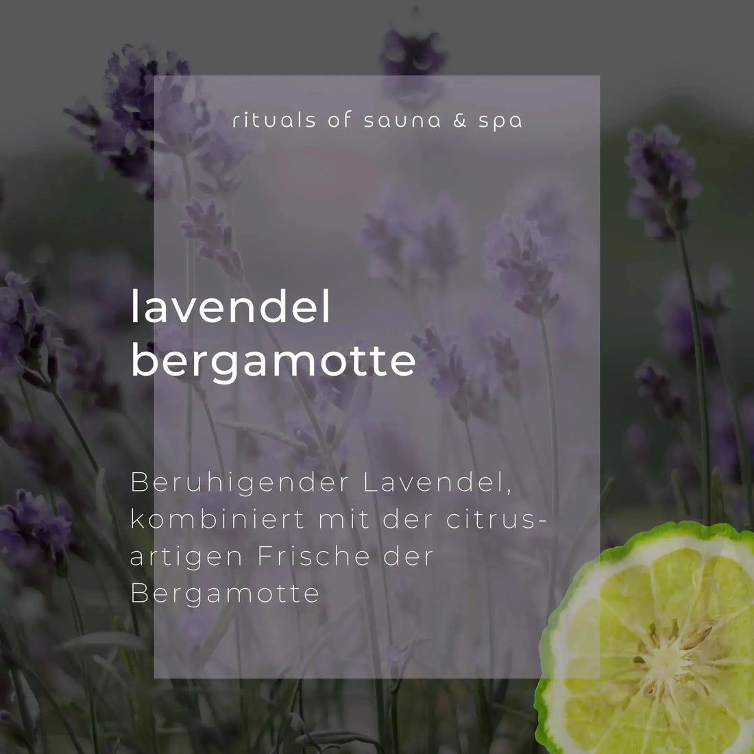 Lavendel Bergamot. Tekst op transparante achtergrond. Lavendelbloemen en bergamotvrucht op de achtergrond.
