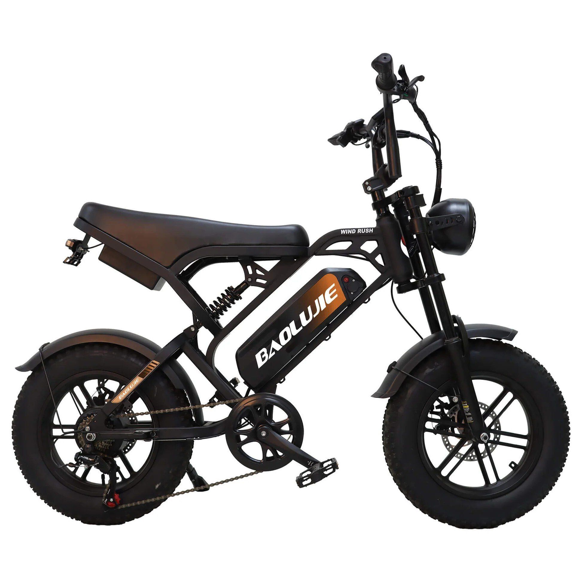 BAOLUJIE F2 Elektrische fiets met volledige vering, 48V 13Ah, 16"x4.0"
