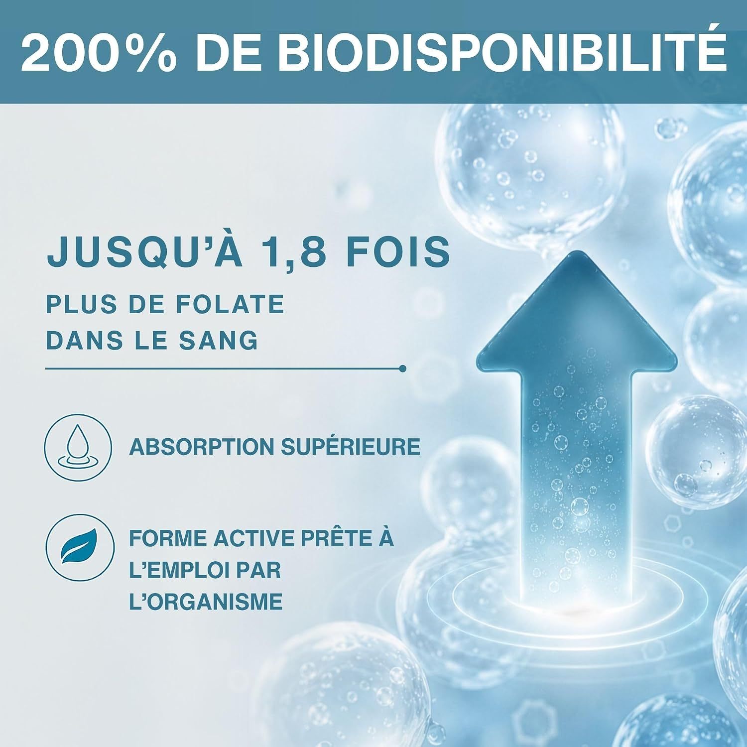 200% de biodisponibilité, jusqu'à 1,8x plus de folate dans le sang.