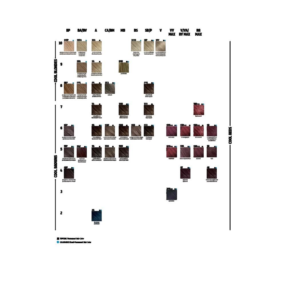 Nuancier de couleurs de cheveux. Différentes teintes disposées en rangées et en colonnes. Légendes en noir et bleu.
