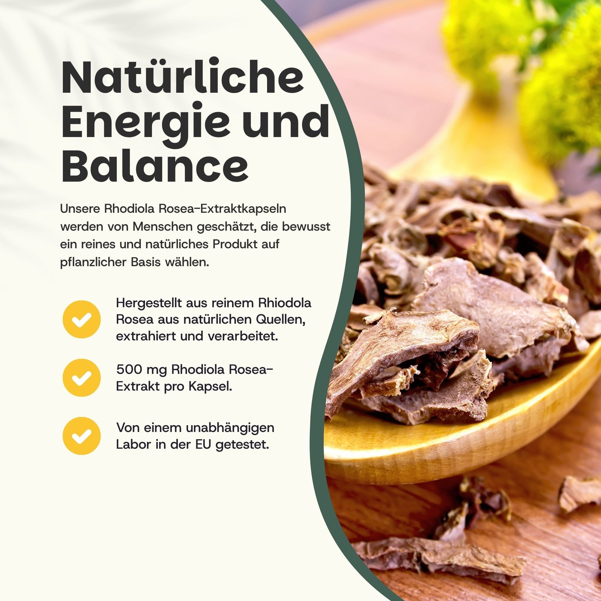 Houten lepel met gedroogde Rhodiola Rosea wortelstukken. Tekst: Natuurlijke energie en balans.