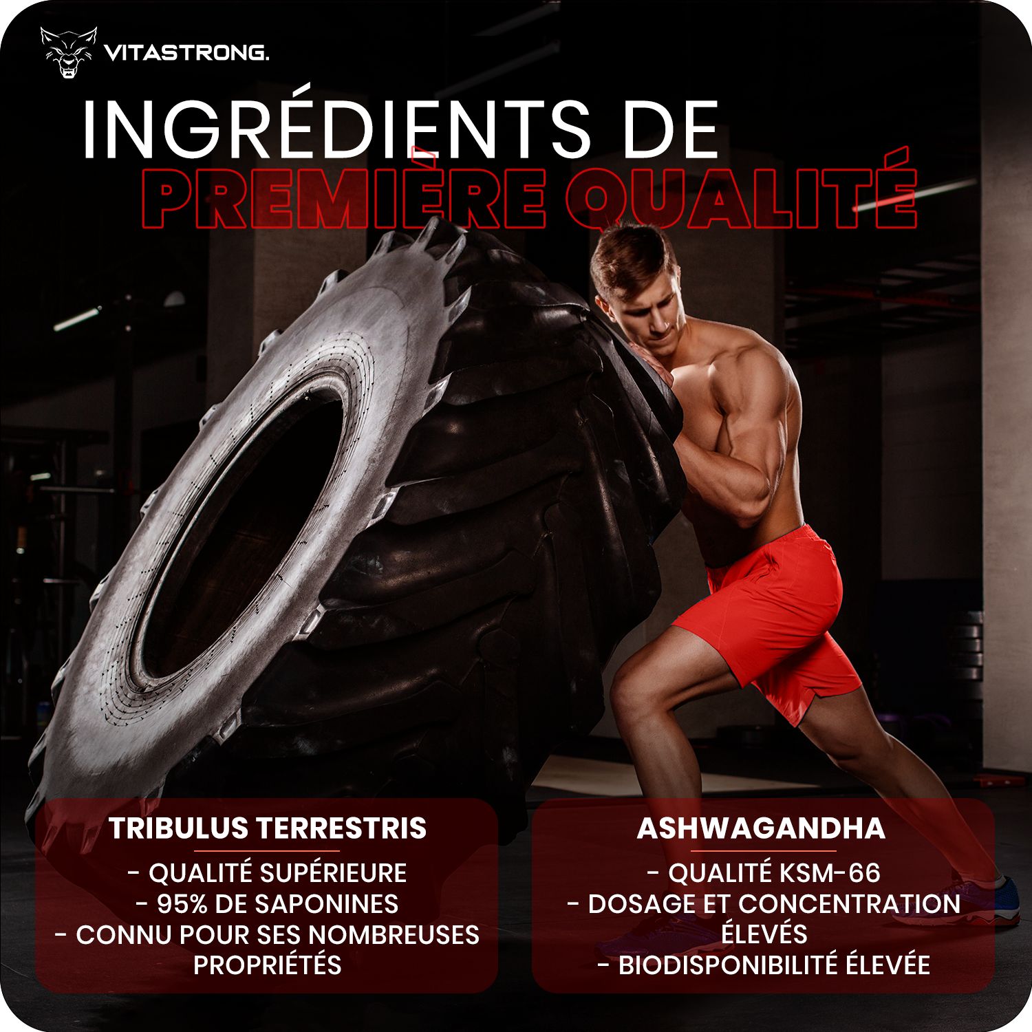 Man leunt op een band. Tekst: Premium ingrediënten. Tribulus Terrestris, Ashwagandha. Hoge concentratie.