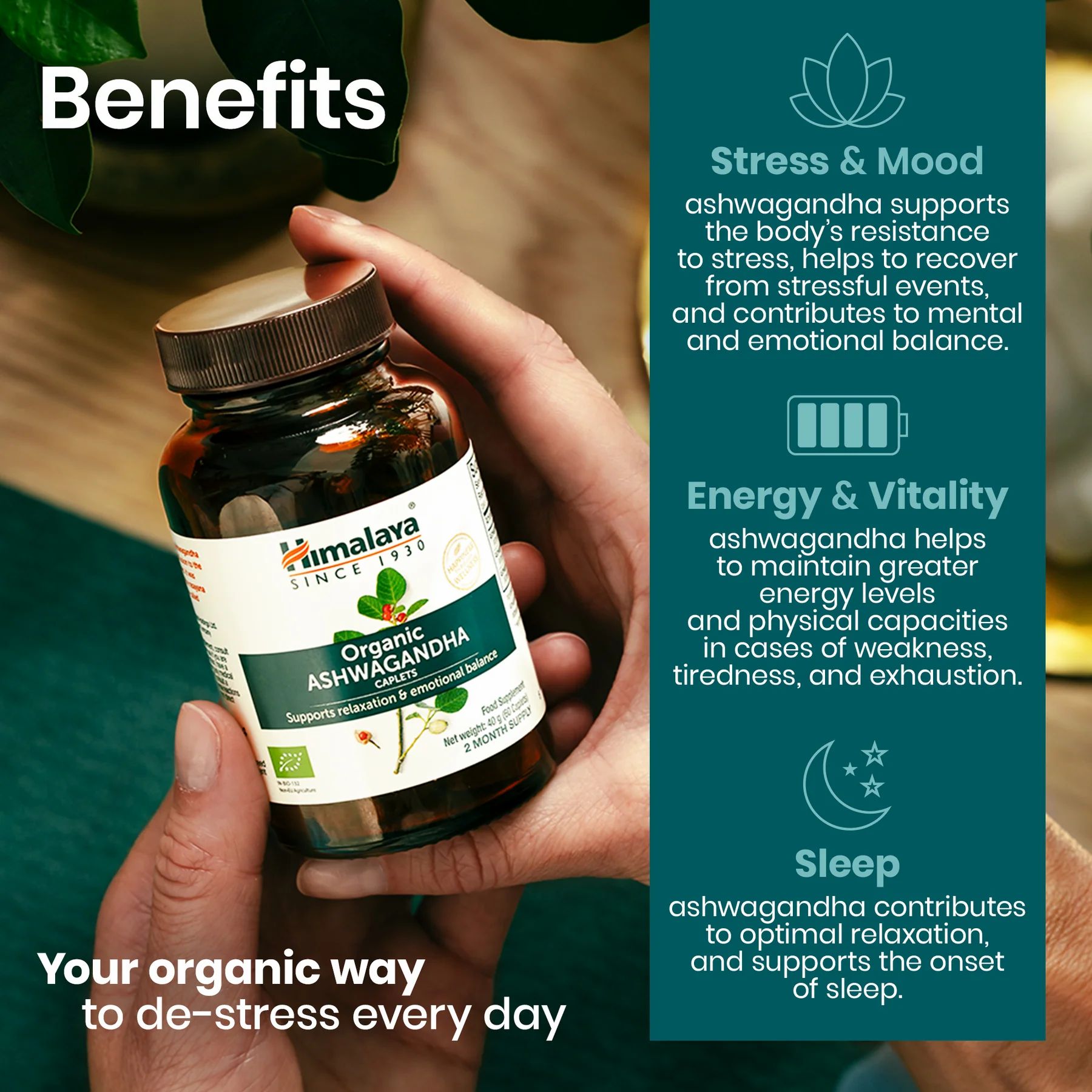 Mains tenant flacon de gélules. Texte: Himalaya Organic Ashwagandha, Avantages.