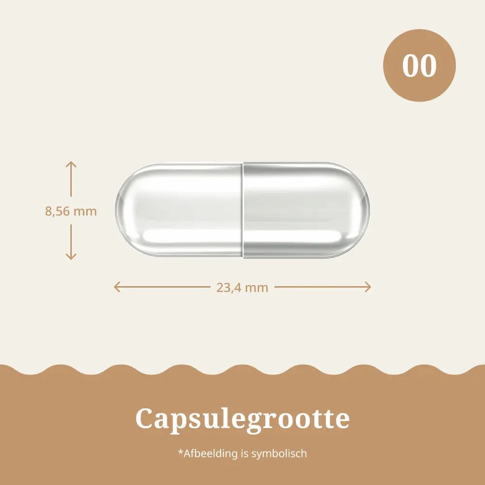 Capsule met afmetingen. Tekst: Capsulegrootte. Afbeelding is symbolisch.