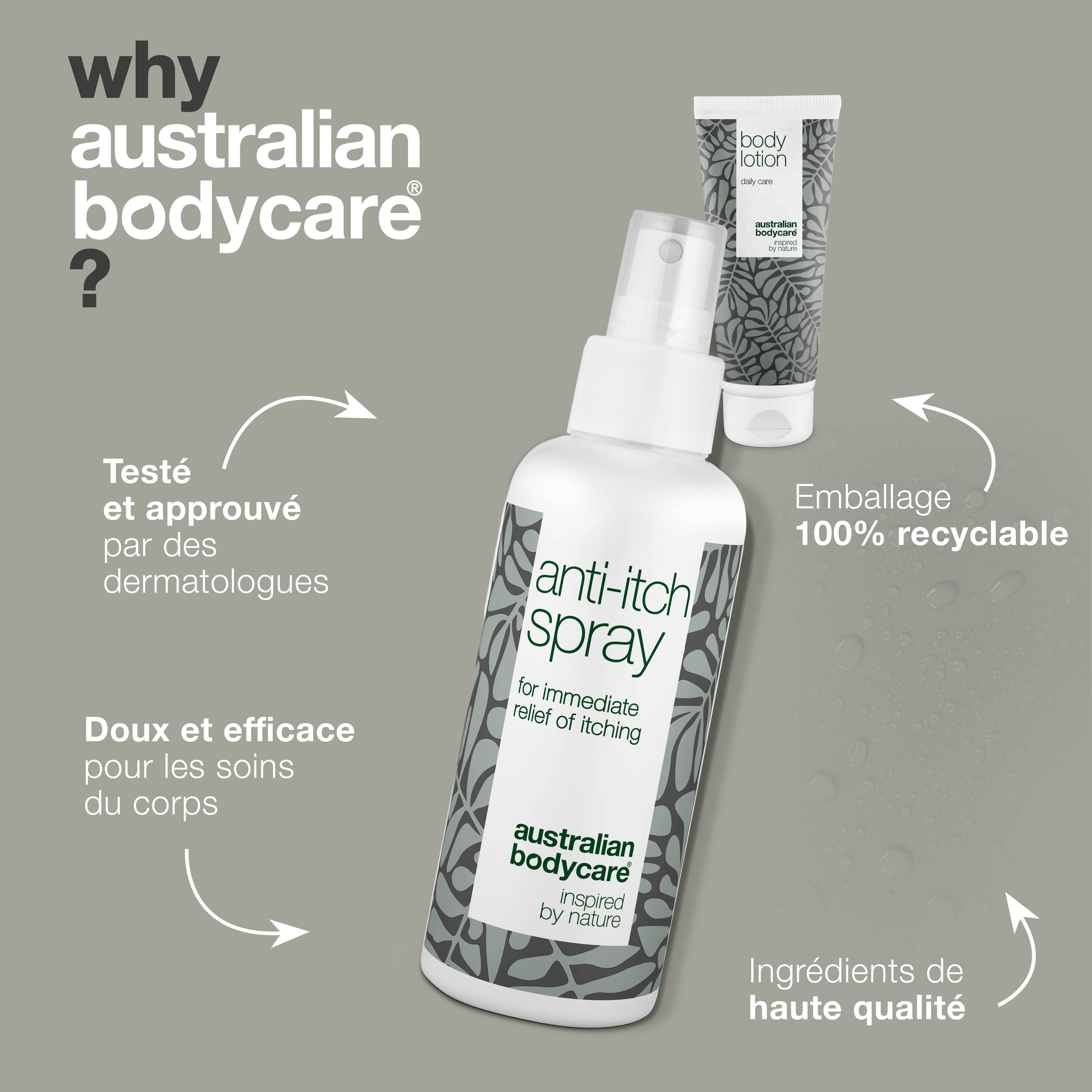 Deux produits : lotion corporelle et spray anti-démangeaisons. À gauche, « Problème » et à droite, « Solution ».