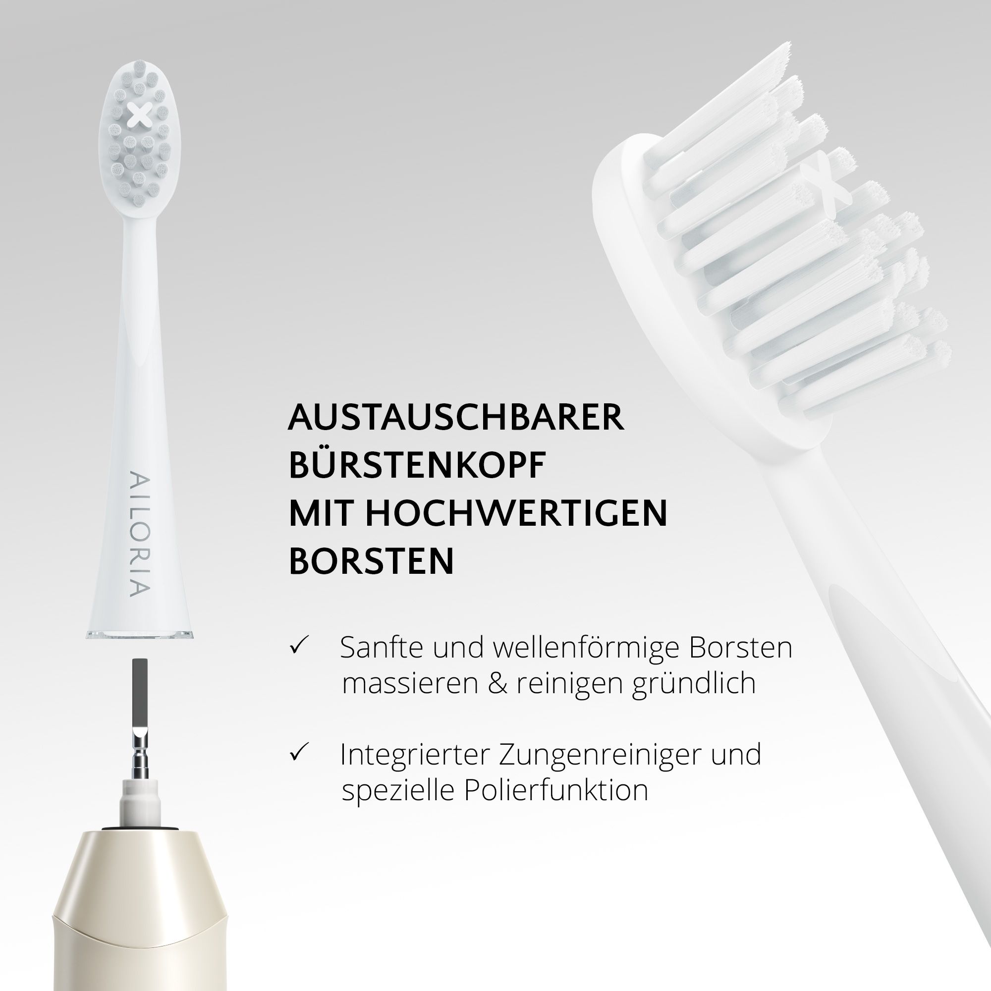 Gros plan sur une tête de brosse et une brosse à dents. Texte : Tête de brosse remplaçable avec soies de haute qualité.
