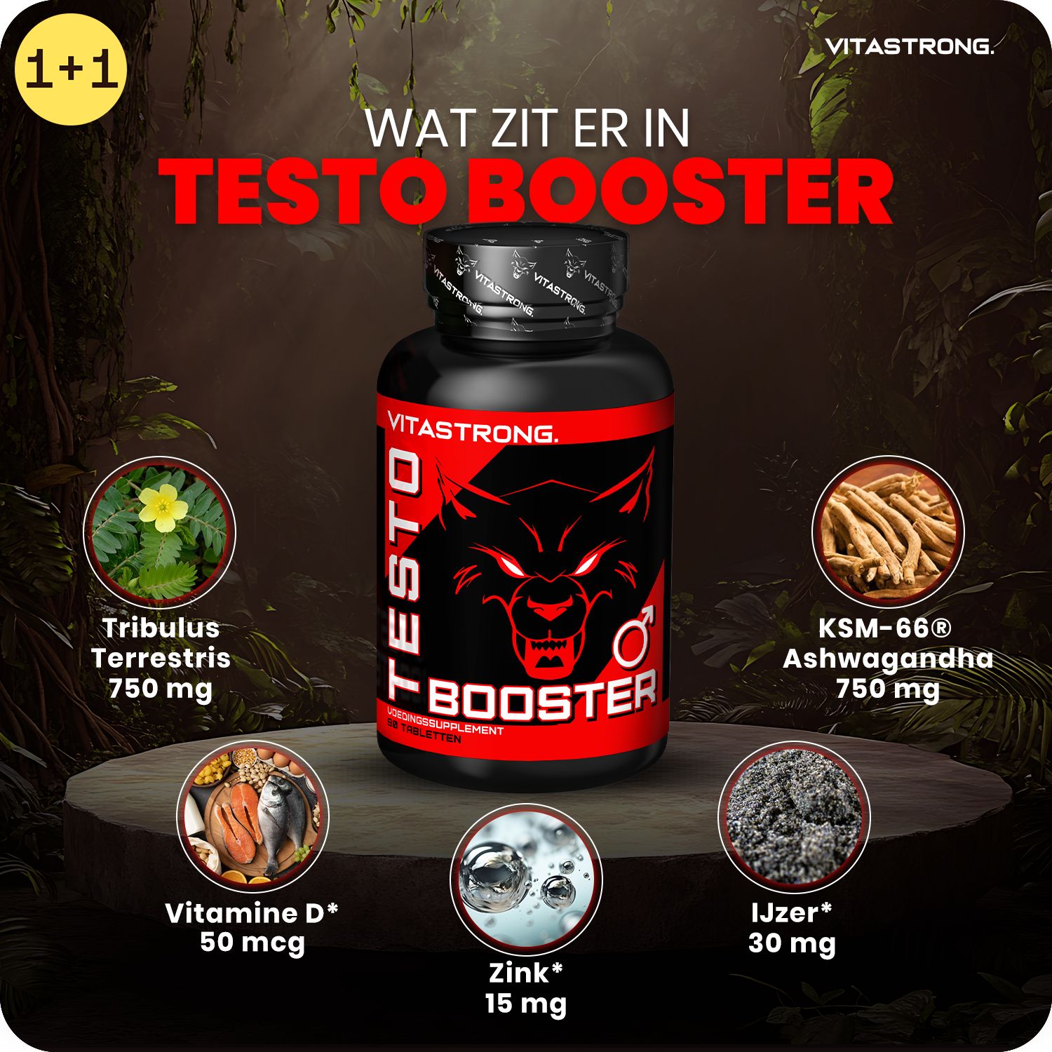 Fles TESTO BOOSTER. Ingrediënten: Tribulus Terrestris, Vitamine D, KSM-66 Ashwagandha, Zink, IJzer. 1+1 aanbieding.