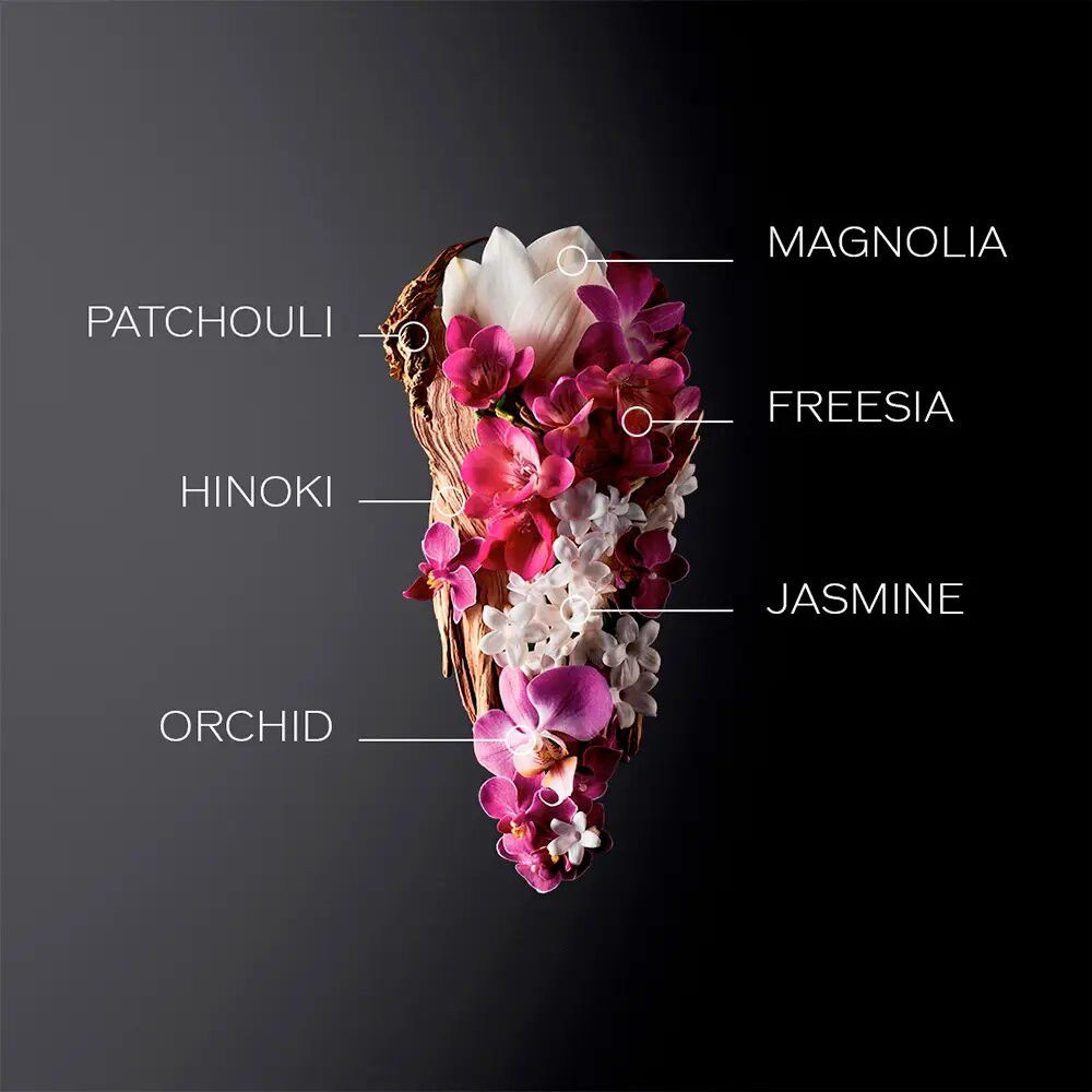 Composition florale avec étiquettes: Magnolia, Freesia, Jasmin, Orchidée, Hinoki, Patchouli.