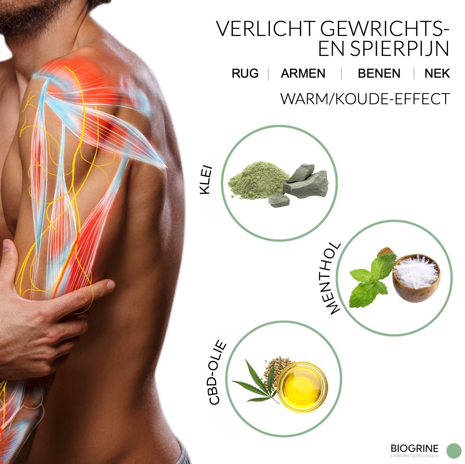Afbeelding met illustraties. Spieren, kruiden, CBD-olie. Tekst: Verlicht pijn, gewrichten & spieren. Warm/koud effect. BIOGRINE.