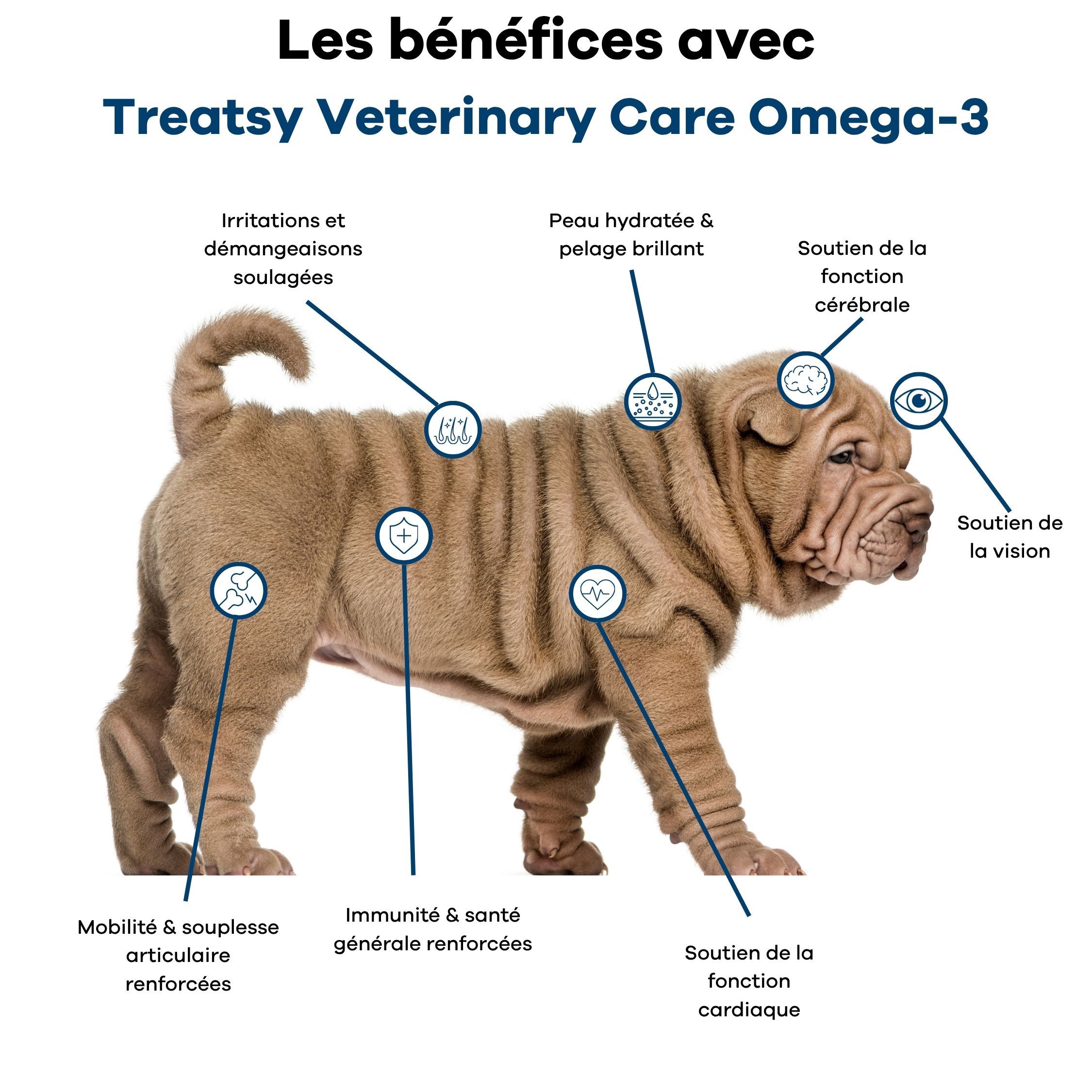Chiot avec marqueurs pour les bienfaits de l'oméga-3 : cerveau, yeux, peau, immunité, cœur, articulations.