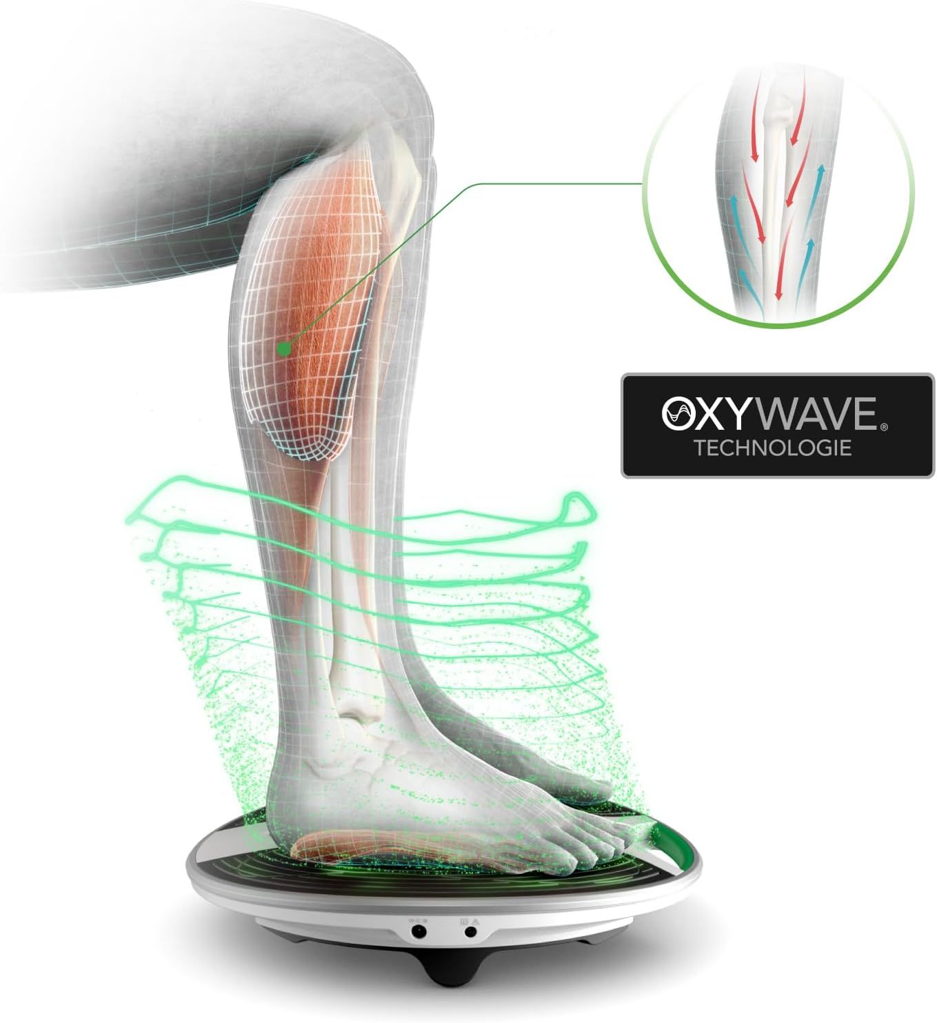 Been op apparaat, schematische weergave van spieren en bloedvaten. Oxywave technologie.