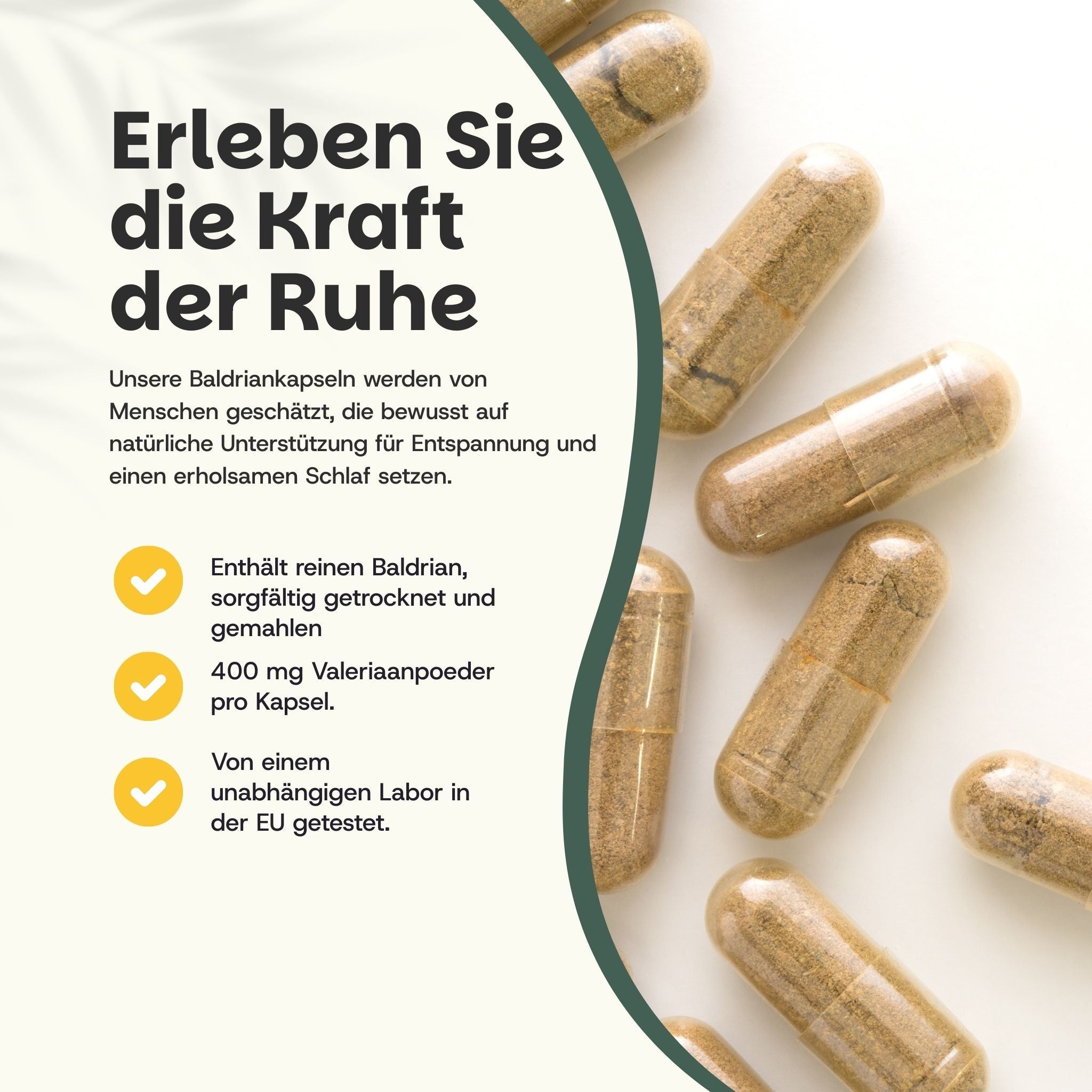 Meerdere bruine capsules met wit poeder erin, op een lichte achtergrond.