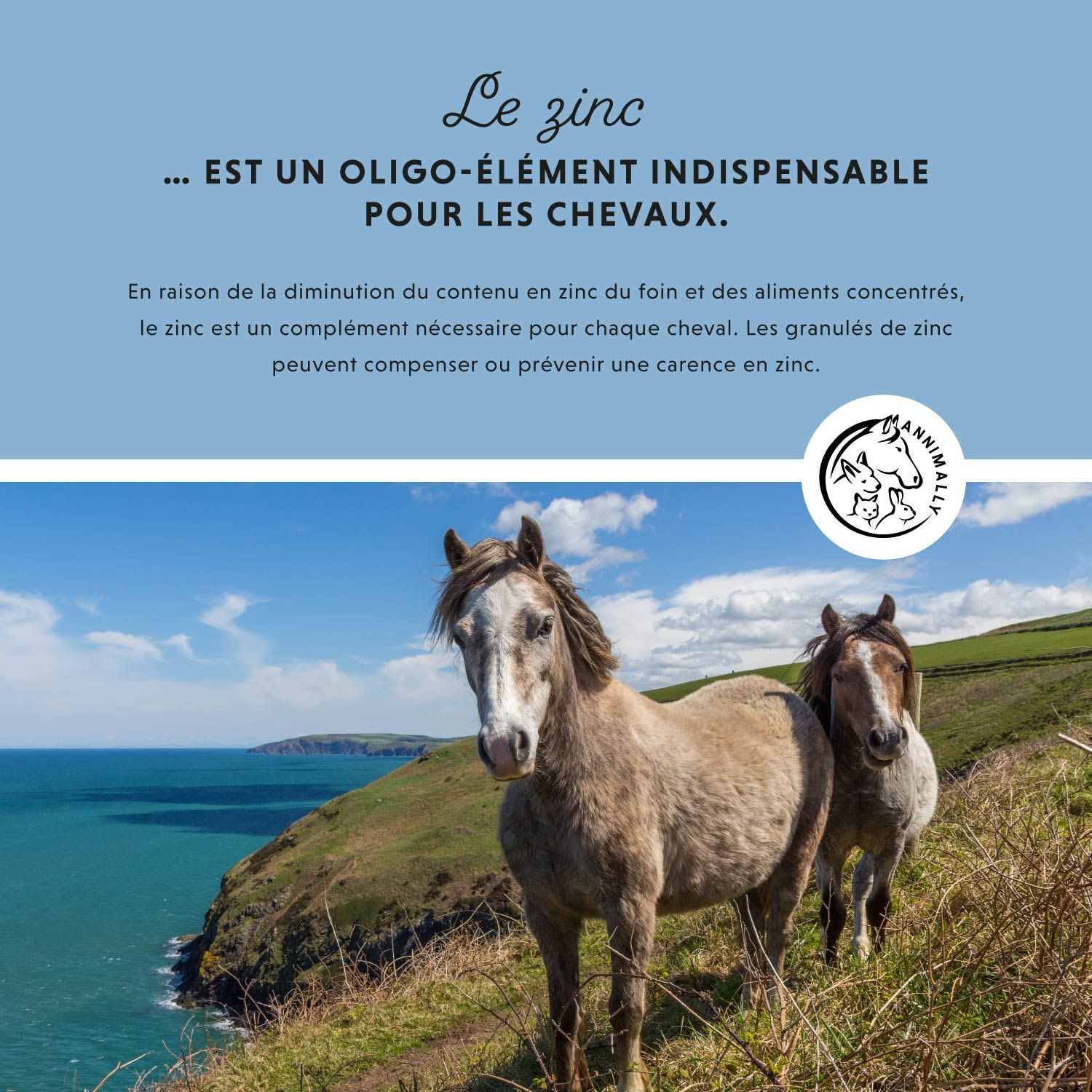 Deux chevaux. Texte: Soutien à long terme pour la peau, les cheveux et les sabots avec du zinc. Logo.