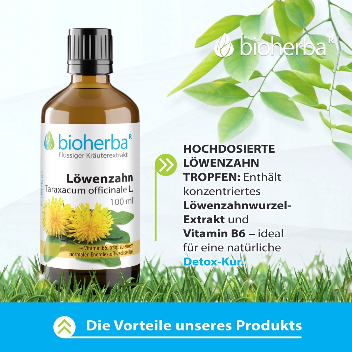 Flacon brun avec bouchon noir. Bioherba Löwenzahn, Taraxacum officinale L. Gouttes. 100 ml. Sur l'herbe.