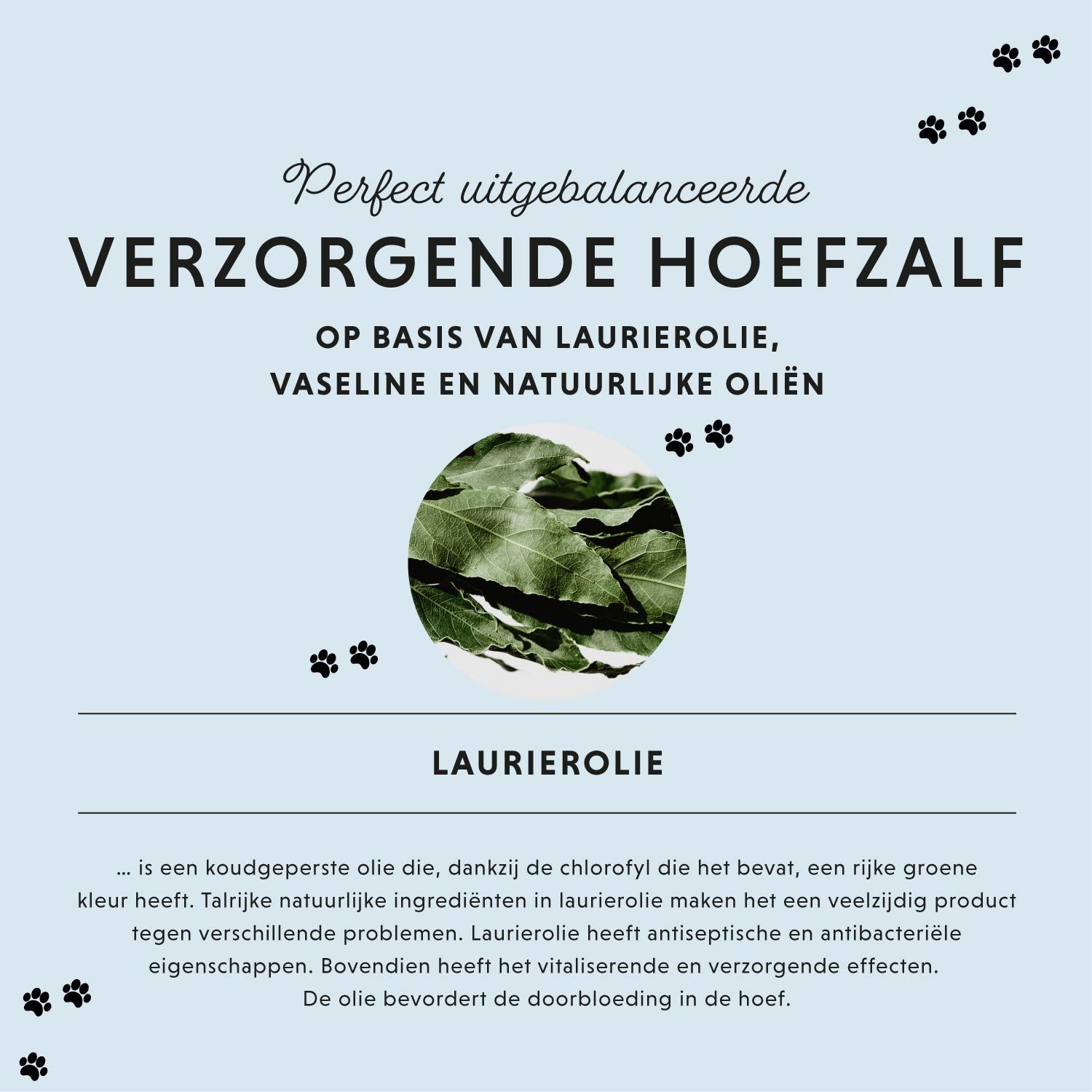 Tekst: Verzorgende hoefzalf op basis van laurierolie, vaseline en natuurlijke oliën. Illustratie van laurierbladeren.