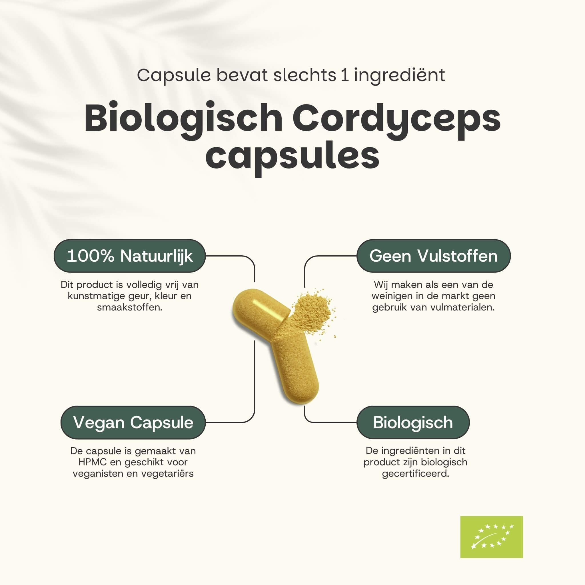 Organische Cordyceps-capsules. Tekst: 100% natuurlijk, geen vulstoffen, vegan capsule, biologisch. Gele capsule met poeder.
