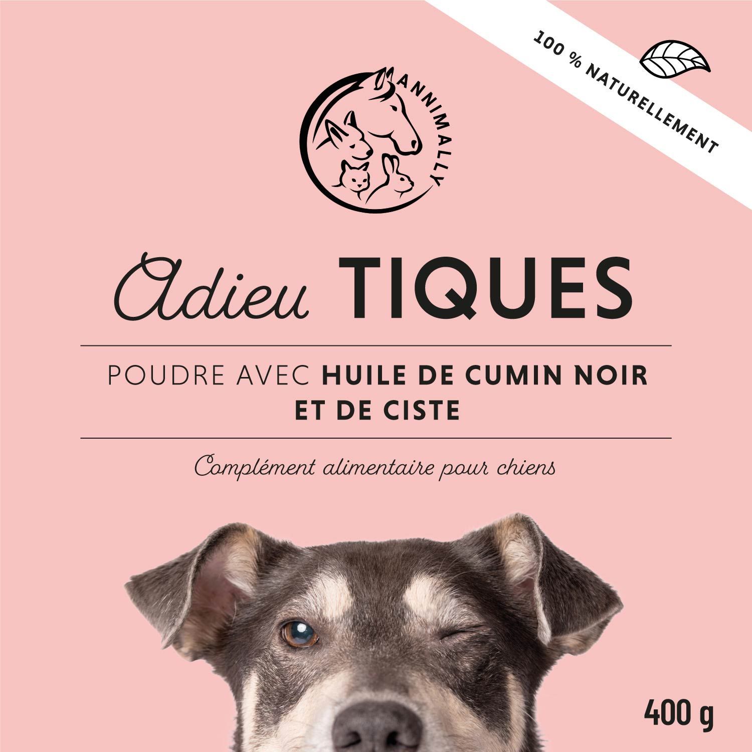 Gros plan sur la boîte de poudre pour chiens. Inscription : Adieu TIQUES, 400 g. Chien avec un clin d'œil.