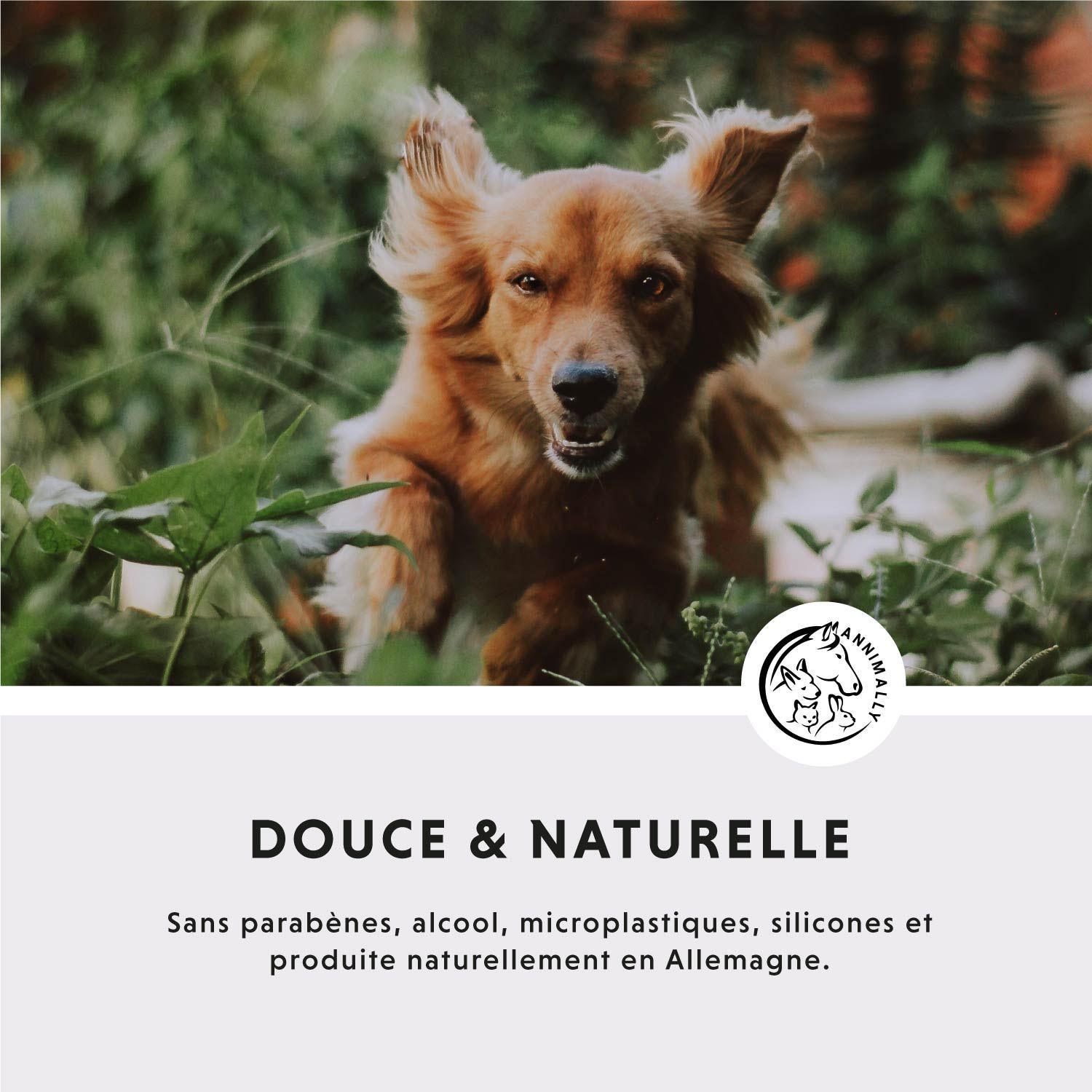 Chien courant dans l'herbe. Texte: Douce & Naturelle. Sans parabènes, alcool, microplastiques, silicones. Fabriqué en Allemagne.