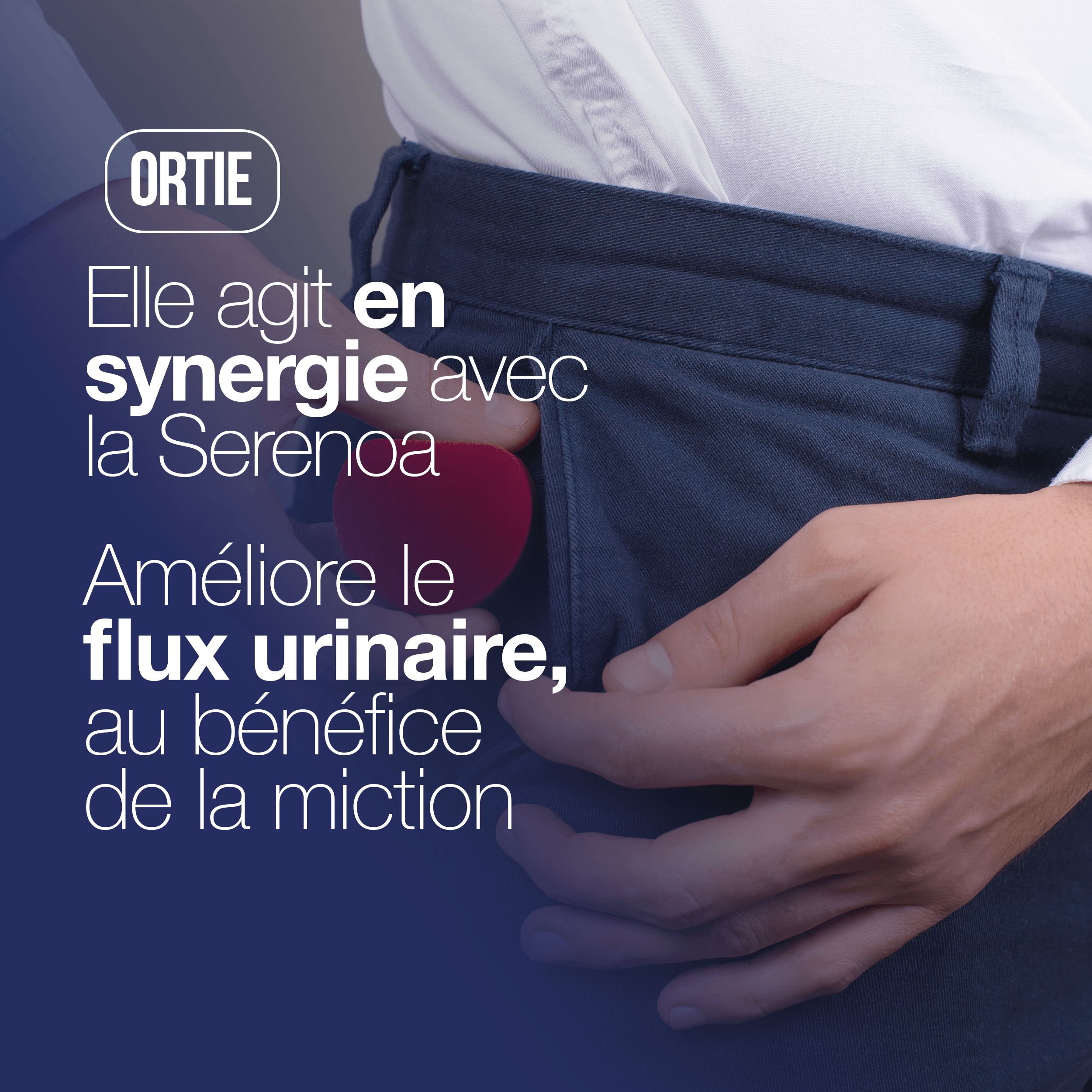 LA.GA© Serenoa Repens: Prostate & Confort. Saw Palmetto, Boswellia, Citrouille et Lycopène.