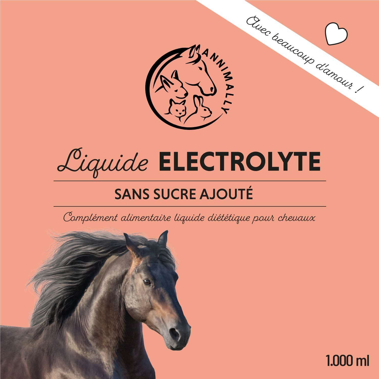 Étiquette avec nom du produit, logo et cheval. Texte : Electrolyte Liquid, sans sucre ajouté. Complément alimentaire liquide pour chevaux.