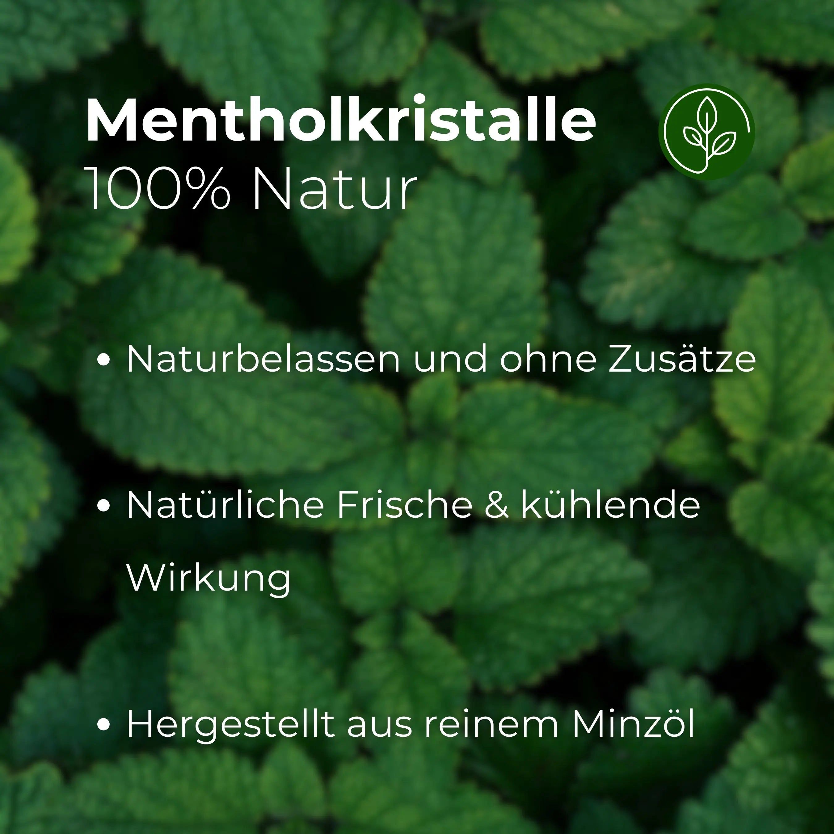 Close-up van groene bladeren. Tekst: Mentholkristalle, 100% natuurlijk. Natuurlijk en zonder toevoegingen. Natuurlijke frisheid & verkoelend effect.