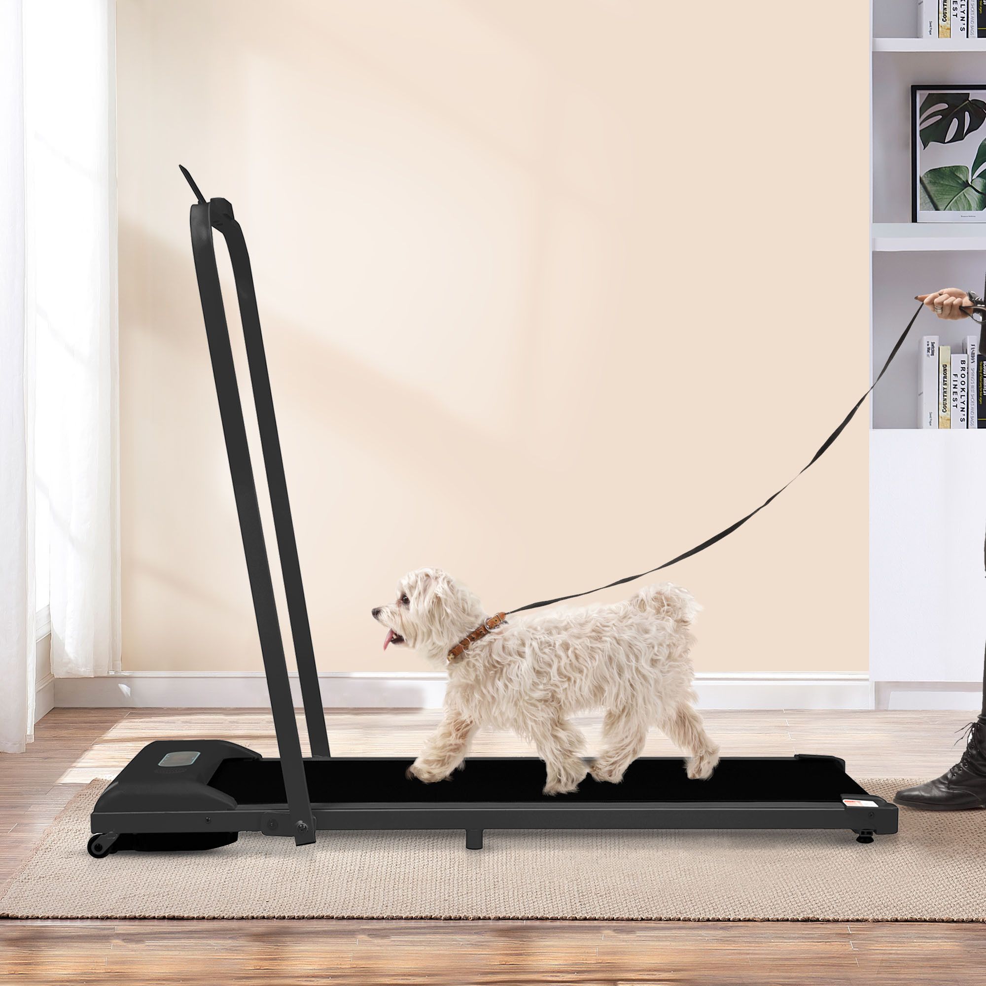 Kleine hond loopt op een loopband aan de lijn. Persoon houdt de lijn vast.