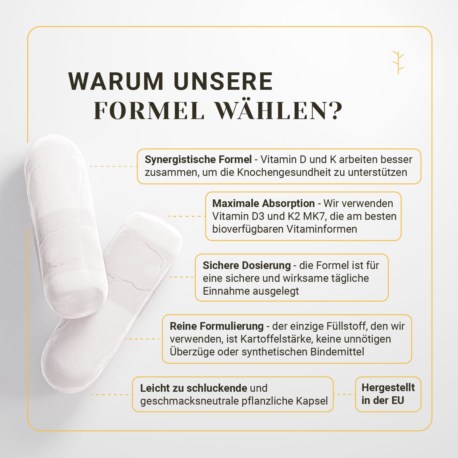 Deux gélules blanches sur fond blanc. Texte : Pourquoi choisir notre formule ? Formule synergique, absorption maximale, dosage sûr.