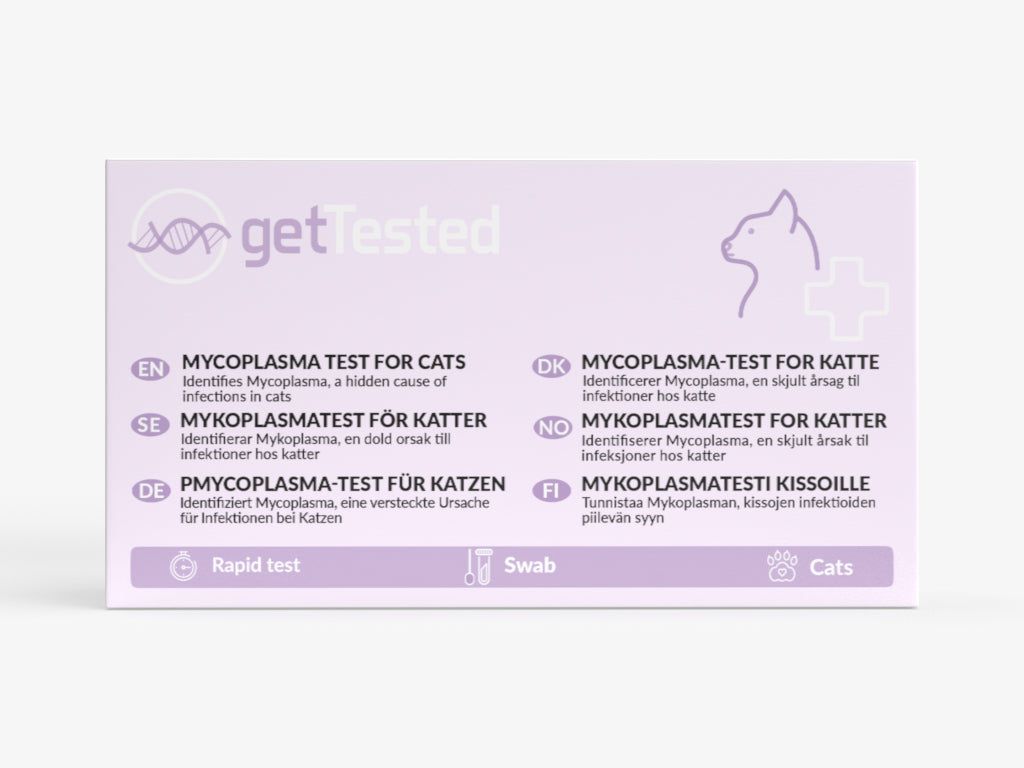 Emballage GetTested pour test Mycoplasma pour chats. Contient des informations en plusieurs langues. Avec symboles de test rapide, écouvillon et chats.