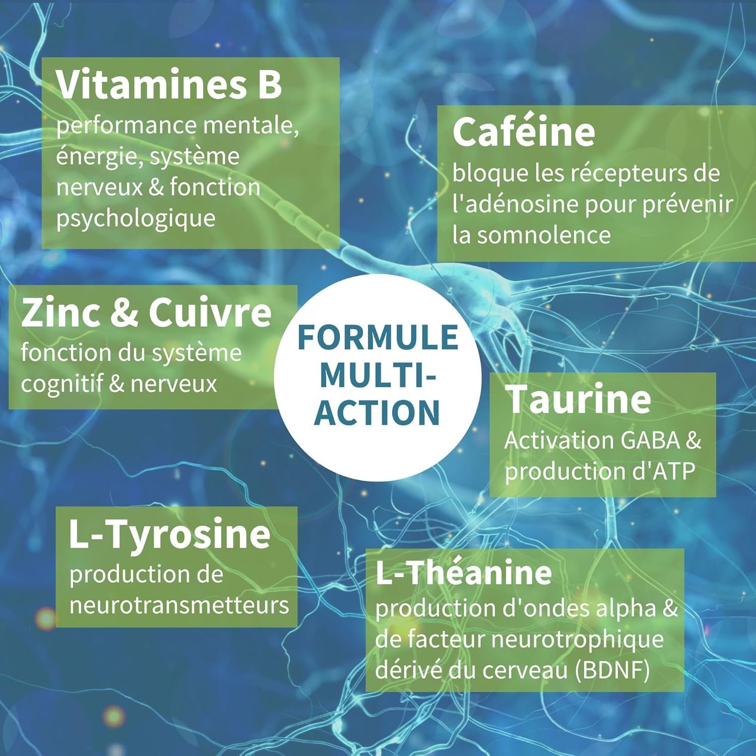 Formule multi-action : Vitamine B, Zinc, Cuivre, Caféine, Taurine, L-Tyrosine, L-Théanine.