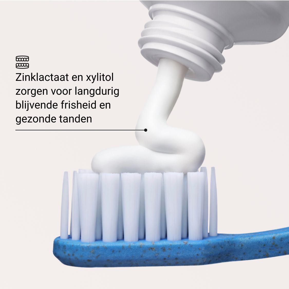 Tandpasta op tandenborstel. Tekst: Zinklactaat en xylitol zorgen voor langdurig blijvende frisheid en gezonde tanden.