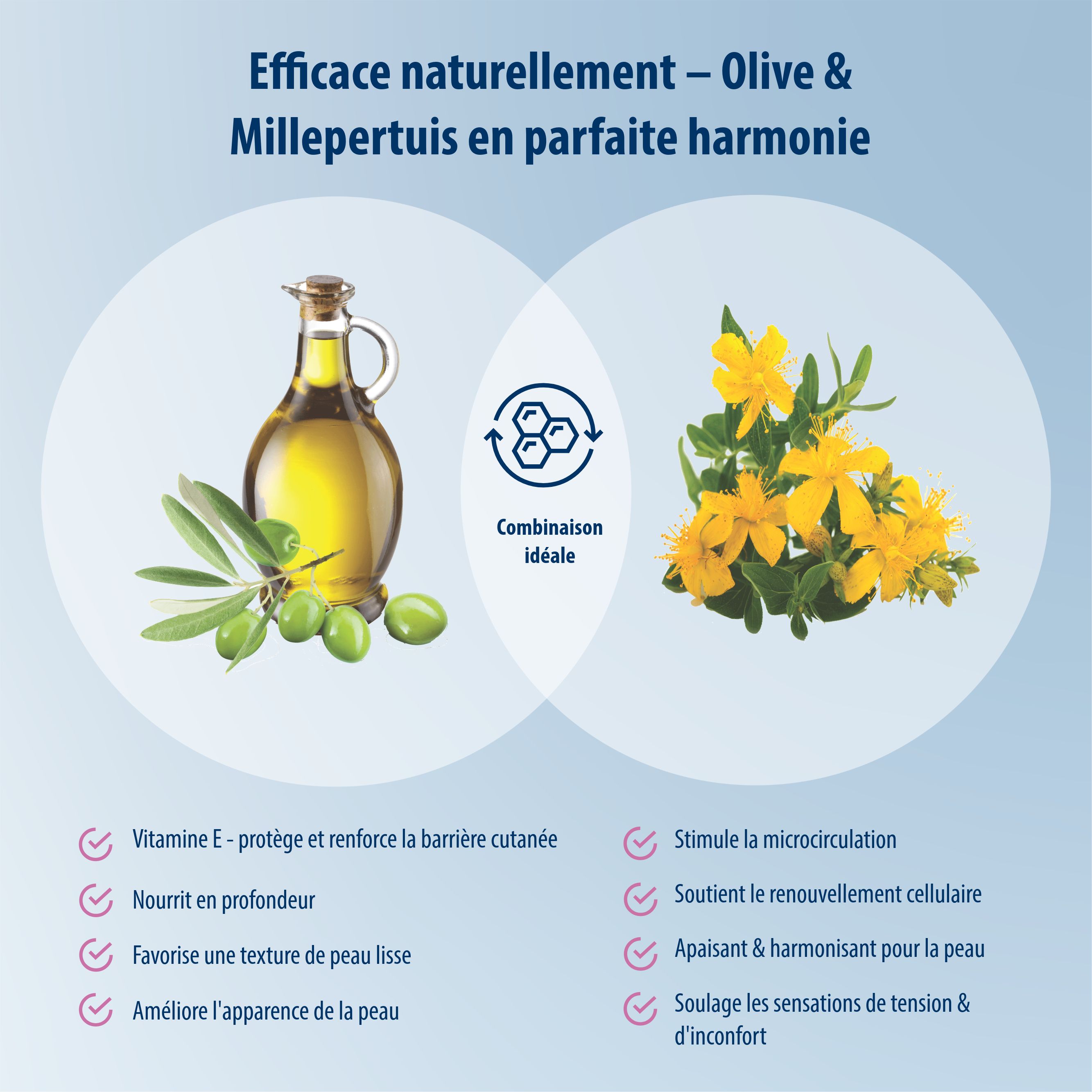 Infographie avec olives, millepertuis et texte. Combinaison optimale pour la peau.