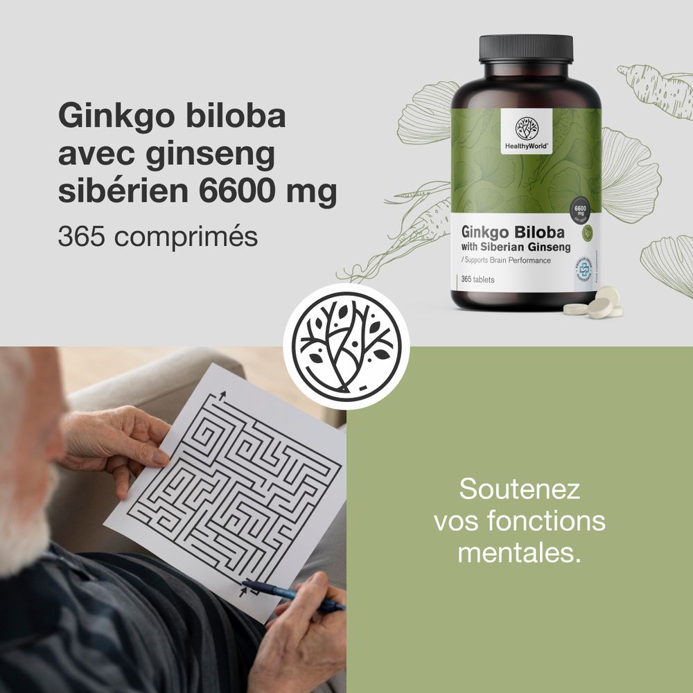 Flacon avec texte: Ginkgo biloba avec ginseng sibérien 6600 mg. 365 comprimés. Marque: HealthyWorld. Personne résolvant un labyrinthe.