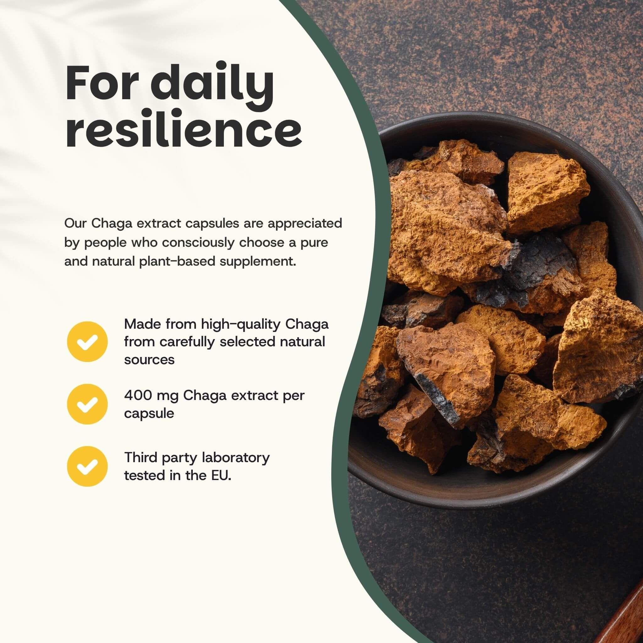 Bol de morceaux de champignon chaga. Texte : 400 mg d'extrait de chaga par gélule. Testé en laboratoire dans l'UE.