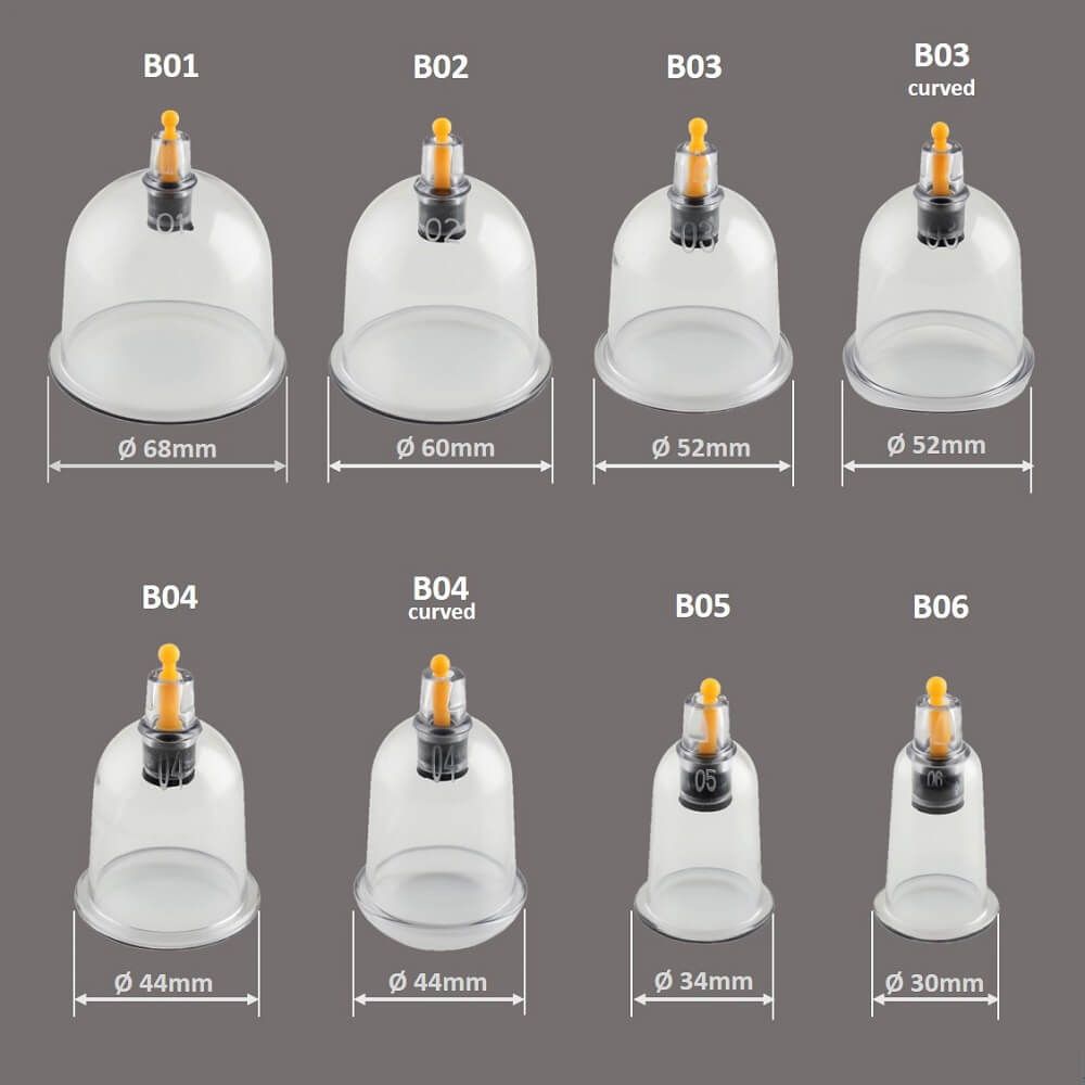 Aperçu des tailles des ventouses Hoopomania : B01 (68mm) à B06 (30mm).