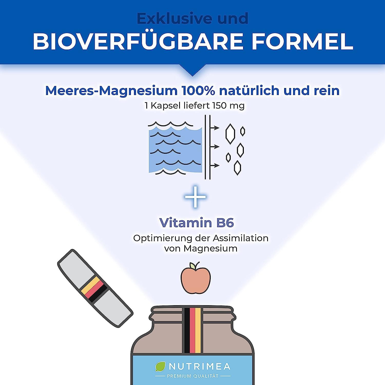 Infographic met illustraties. Toont marien magnesium en vitamine B6. Bevat een fles MAGNESIUM.