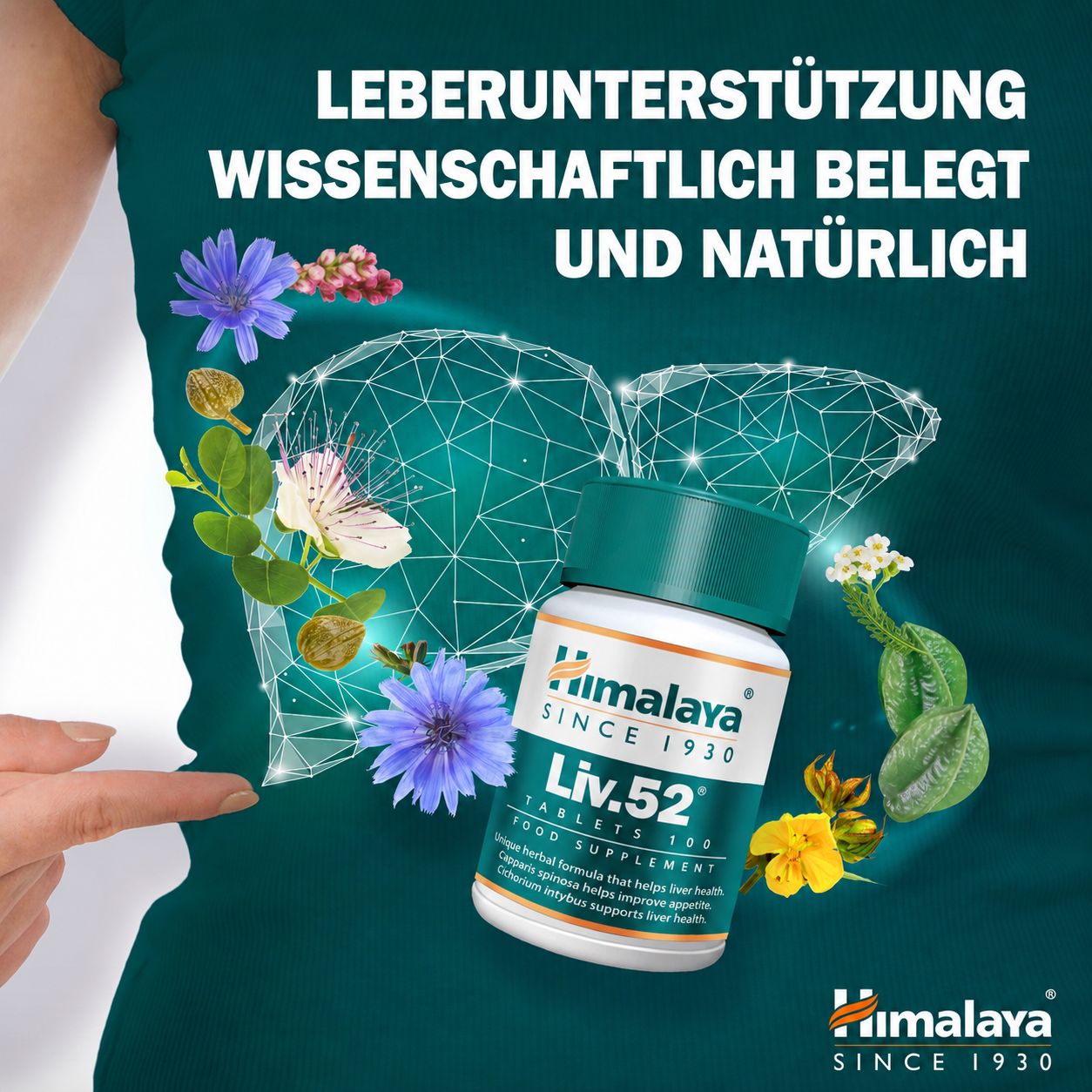 Himalaya Liv.52 Tabletten: Fles voor een gestileerde lever met kruiden.