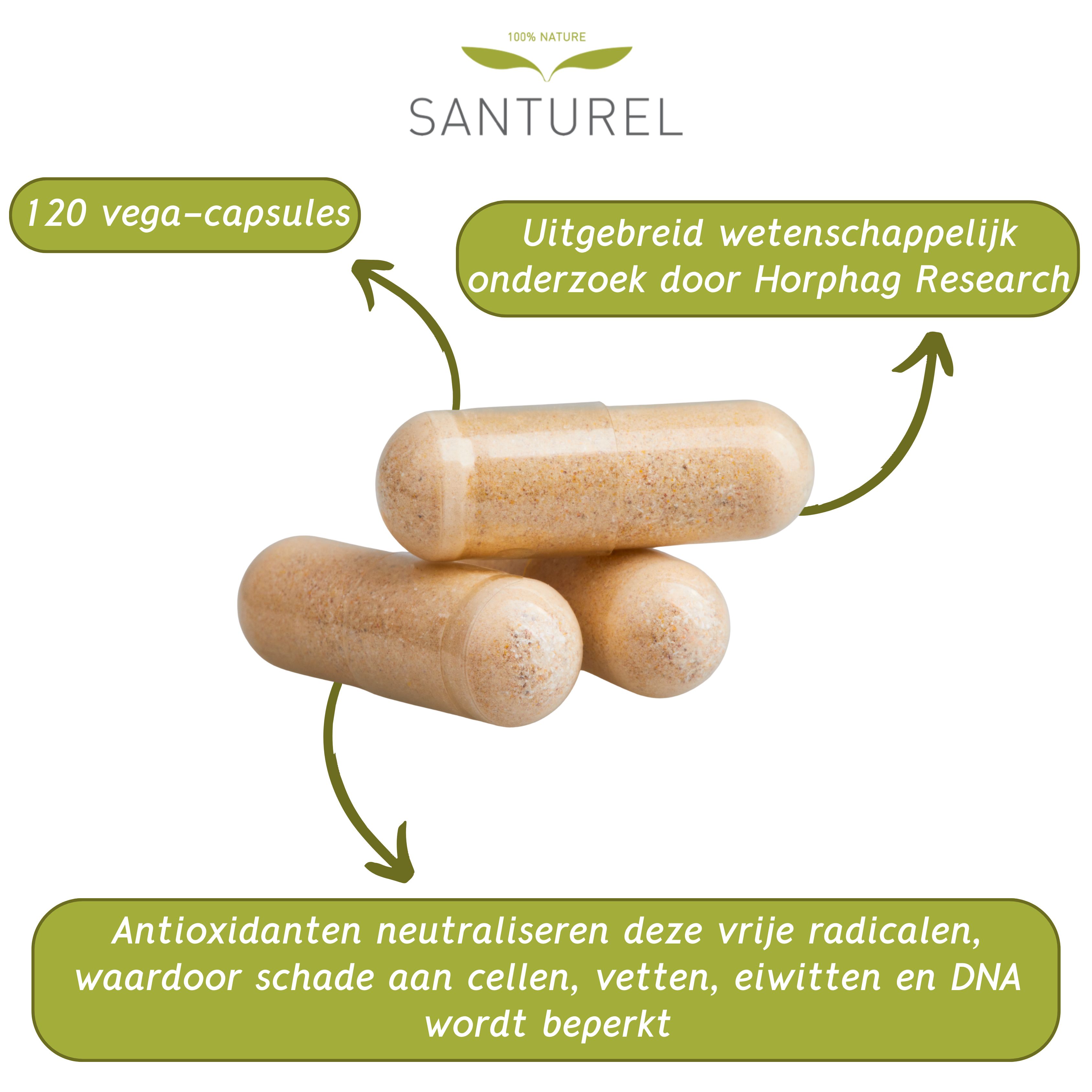 Tekstvelden met informatie over Santurel Pycnogenol® + Acerola. Bevordert de vasculaire gezondheid.