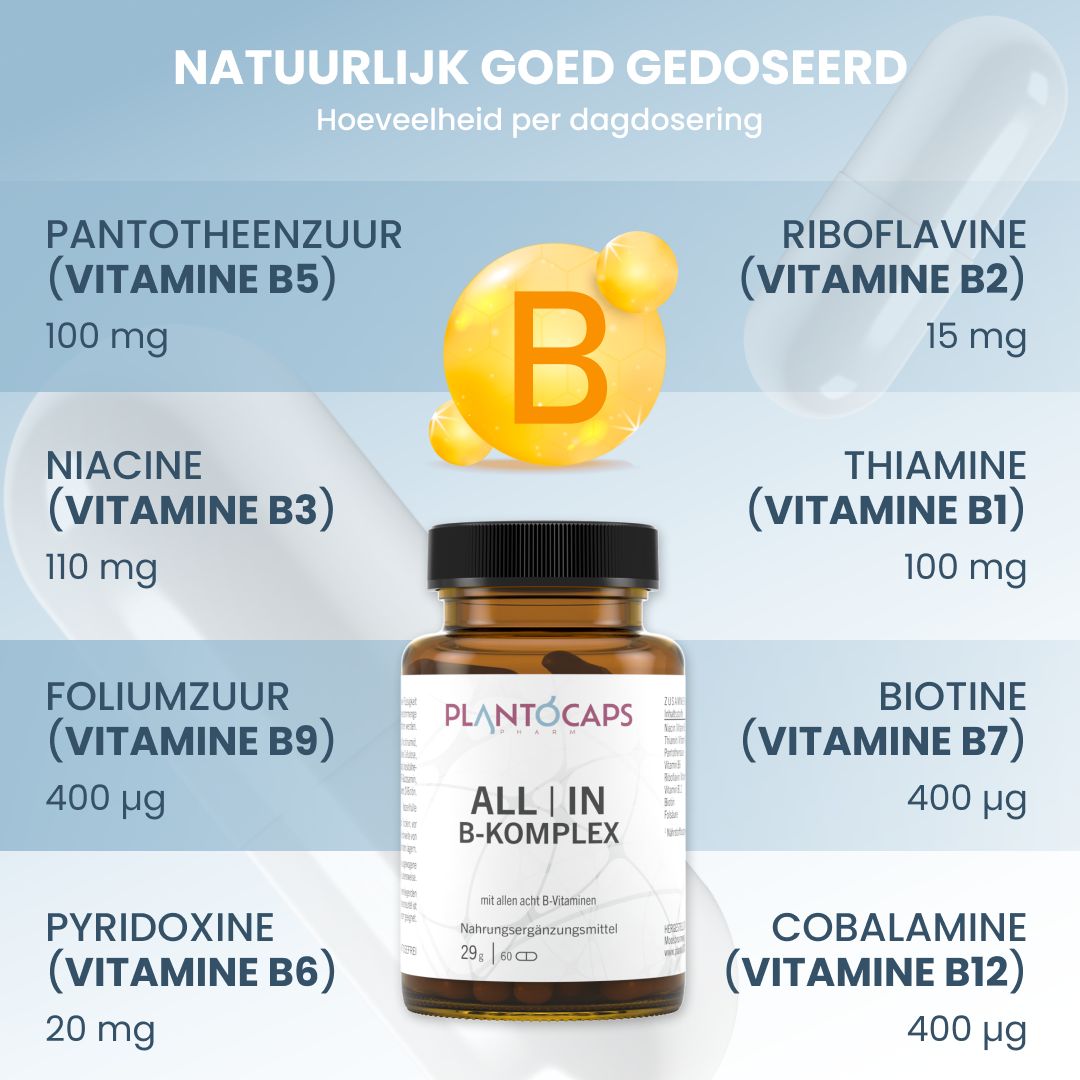 Fles PLANTOCAPS ALL | IN B-KOMPLEX omringd door weergaven van de acht B-vitaminen met hoeveelheden.