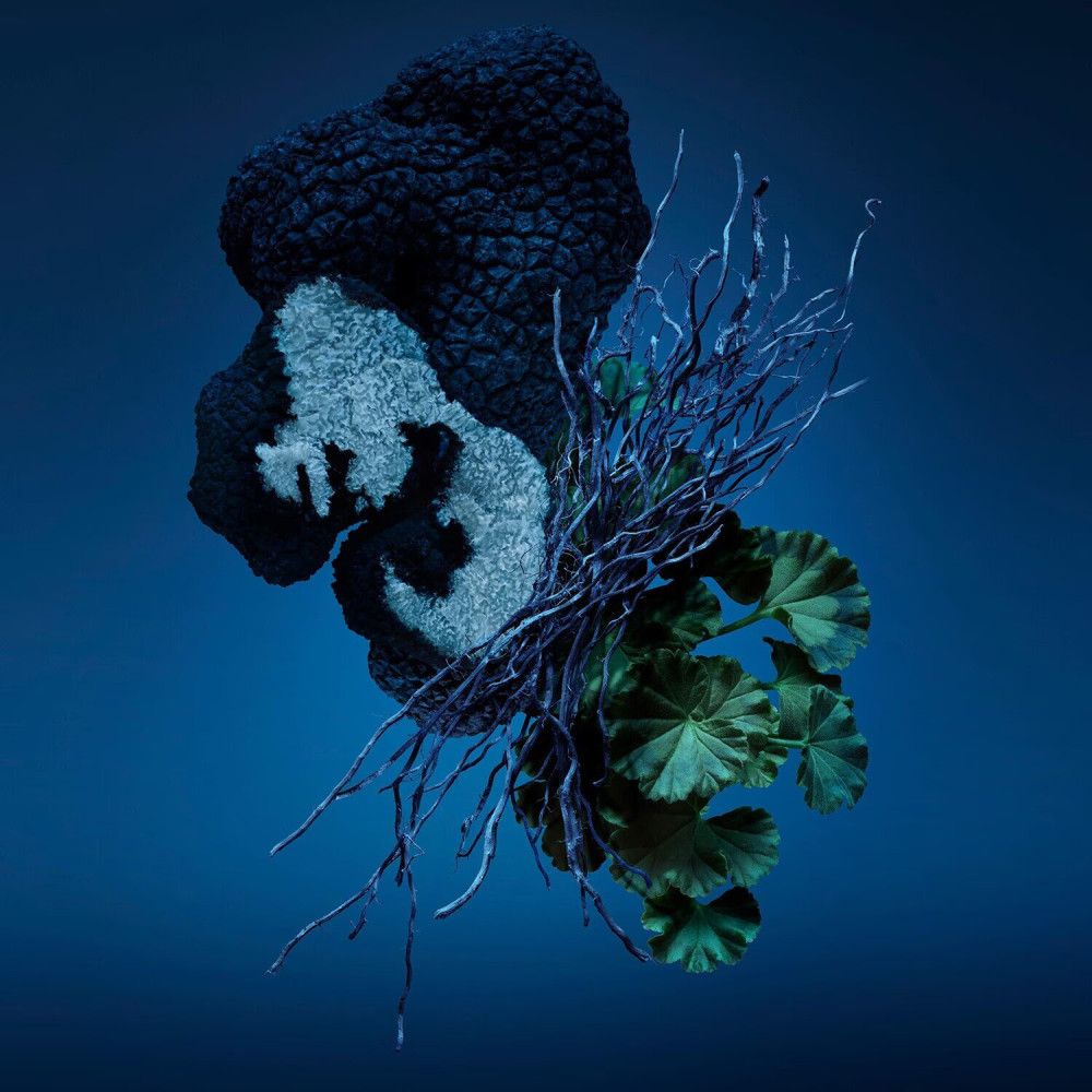 Composition abstraite de plantes bleues et vertes sur fond bleu foncé.