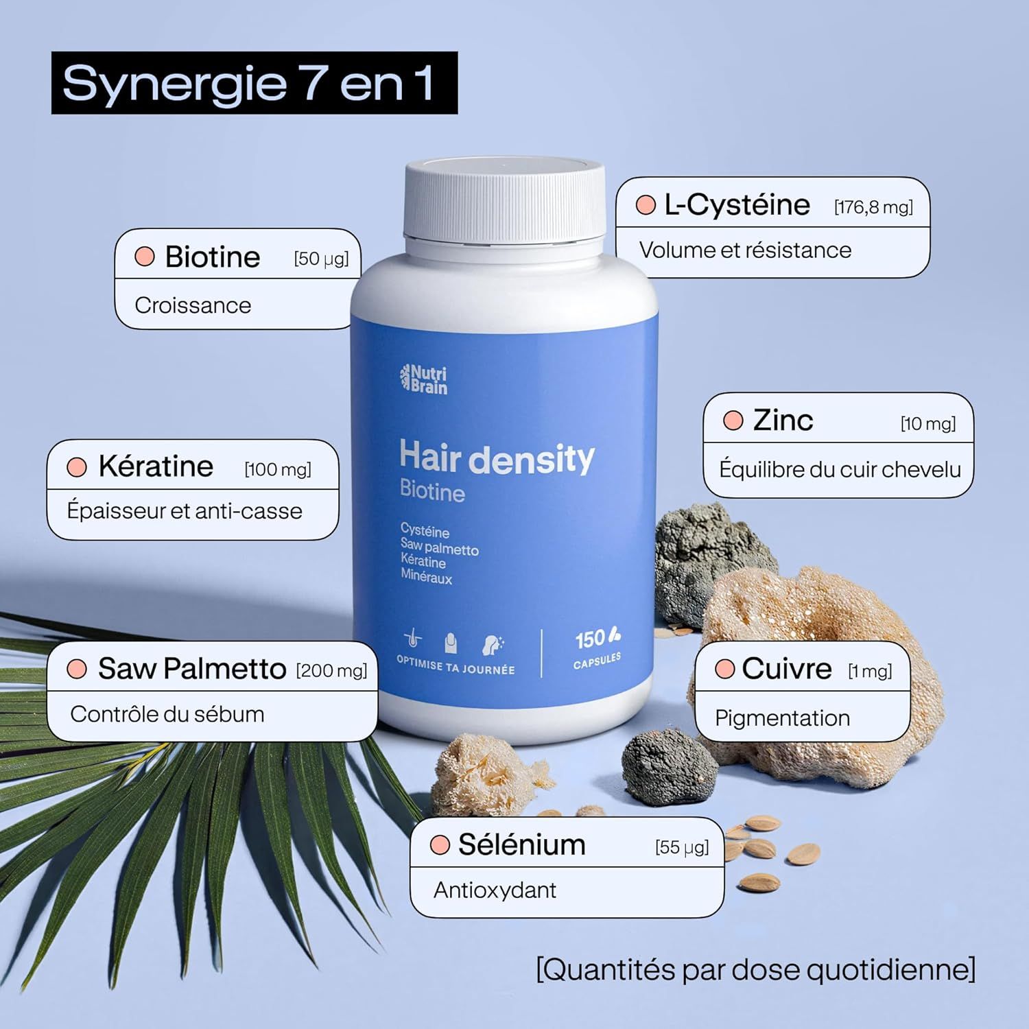 Bouteille de capsules Nutri Brain Hair Density Biotine. Contient biotine, kératine, palmier nain, sélénium, L-cystéine, zinc et cuivre.