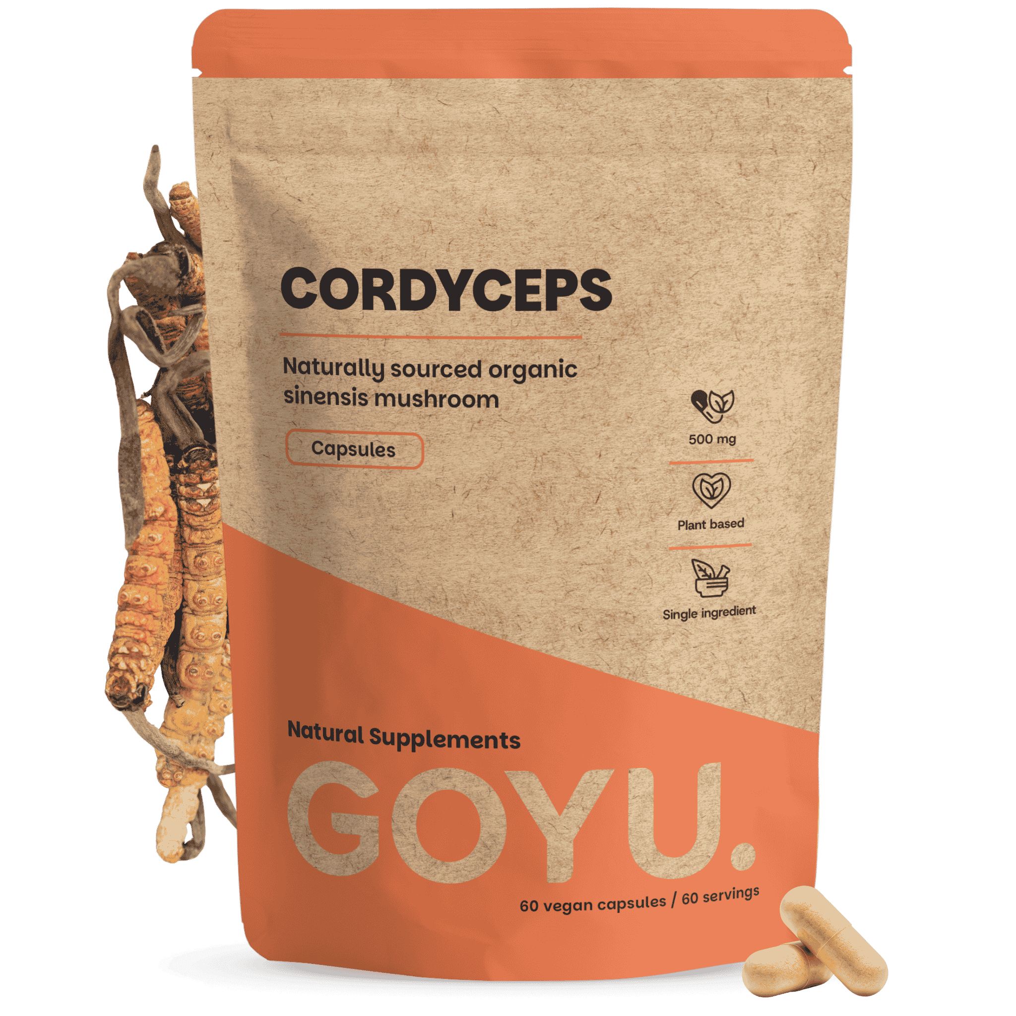 Sachet en papier brun avec capsules de Cordyceps, 500 mg par capsule, 60 capsules.