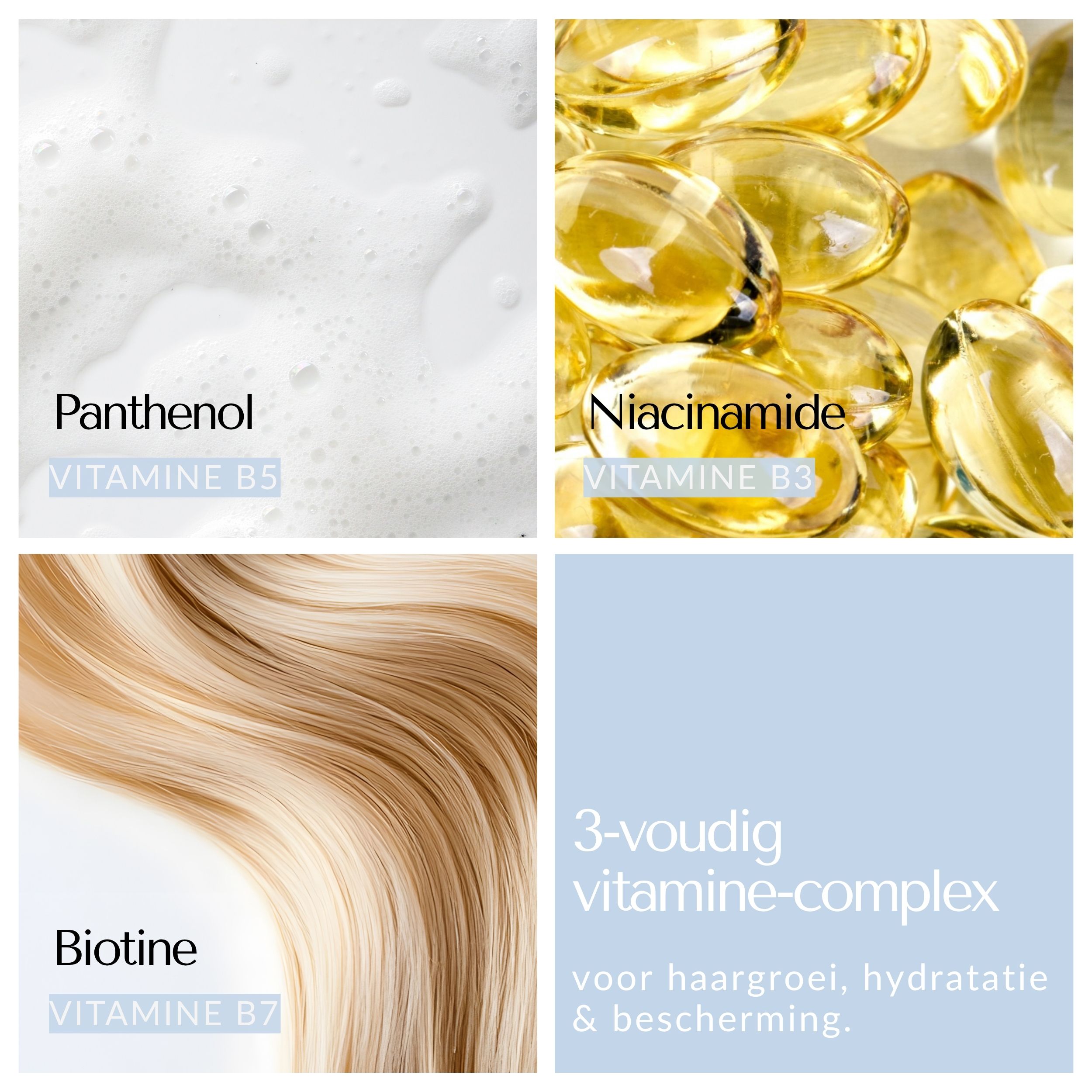 Vier afbeeldingen met ingrediënten: Panthenol, Niacinamide, Biotine, haarstreng.